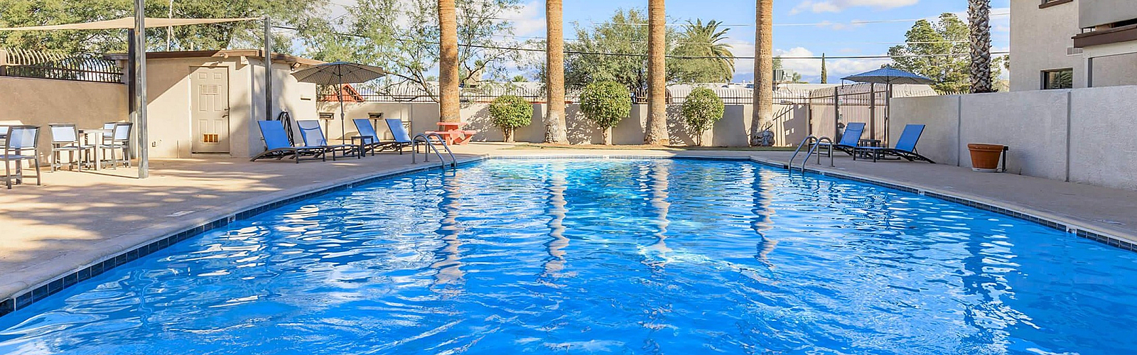 Luxurious outdoor swimming pool surrounded by palm trees and stylish lounge chairs under a bright blue sky.