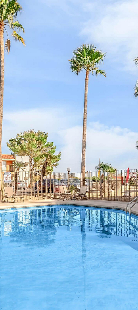 Inviting outdoor pool area with palm trees and sunny ambiance, perfect for relaxation and leisure.