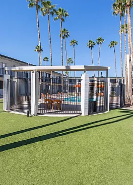 Modern apartment complex with a central swimming pool surrounded by well-manicured lawns and tall palm trees, offering a refreshing and vibrant living environment.