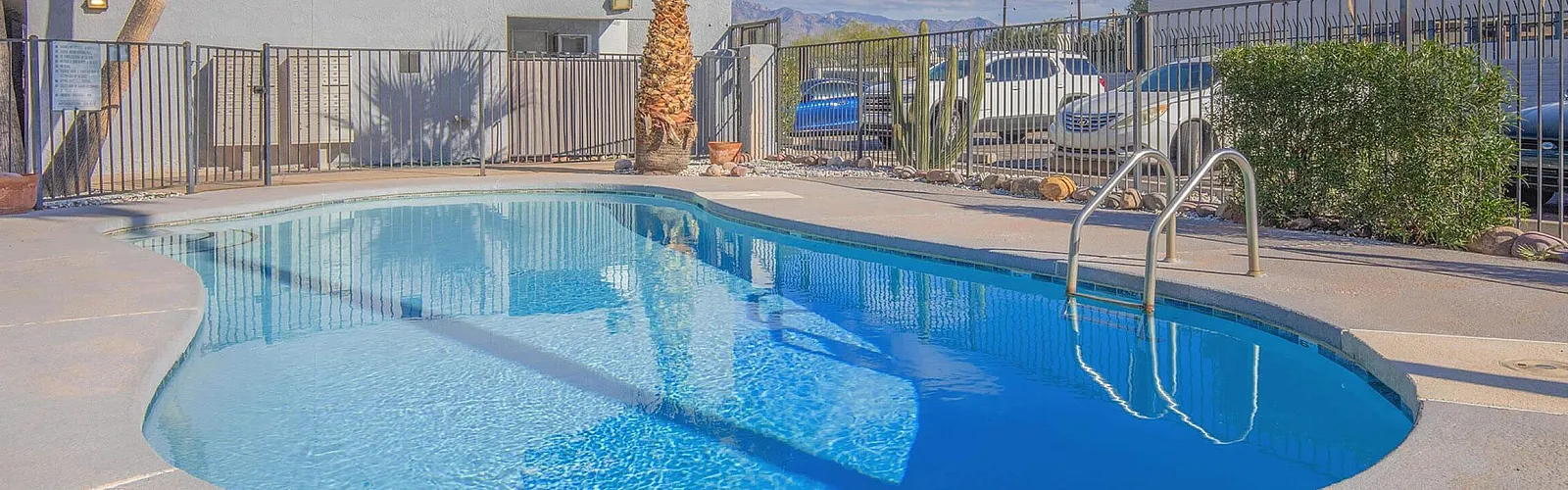 Inviting outdoor pool area with crystal-clear water surrounded by palm trees and modern fencing, perfect for relaxation and enjoyment under a bright blue sky.