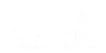 northstar logo white