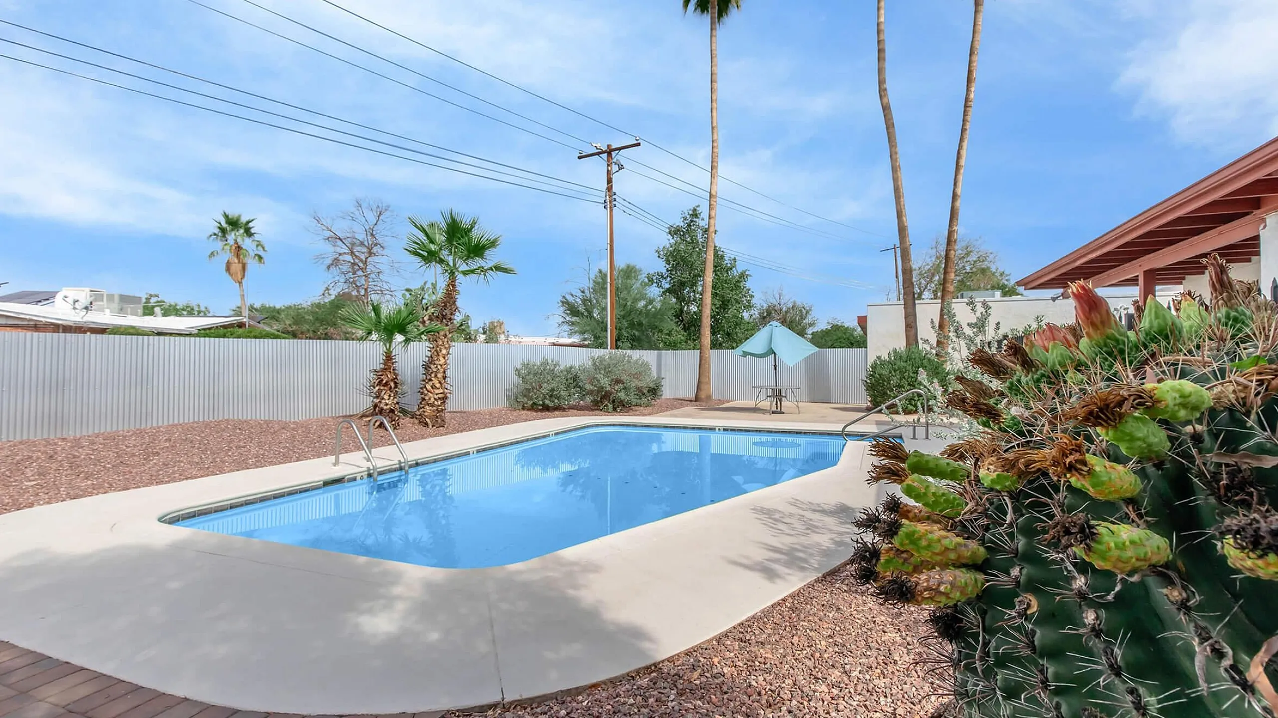 Inviting outdoor pool area with lush palm trees, vibrant cactus, and serene seating, perfect for relaxation.