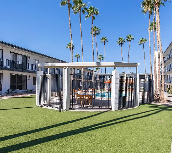 Landscaped courtyard with pool and palm trees at Miramonte on 3rd apartments in Tucson, AZ