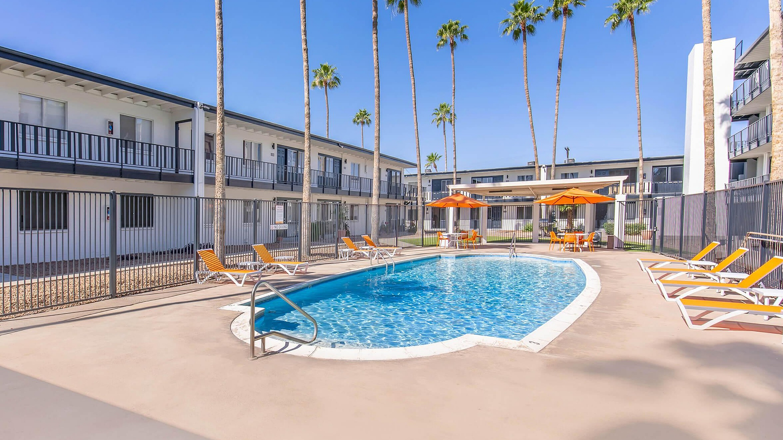 Sparkling swimming pool with palm trees and sun loungers at Miramonte on 3rd apartments in Tucson, AZ