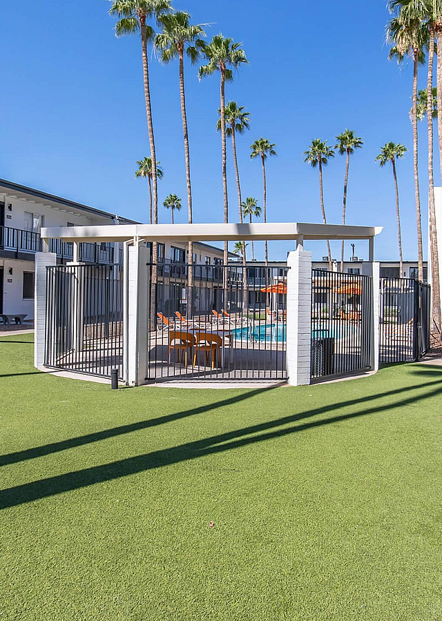 Community swimming pool and palm-lined courtyard at Miramonte on 3rd apartments, Tucson AZ