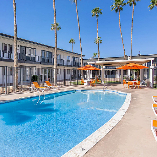 Courtyard pool with orange lounge chairs and palm trees at Miramonte on 3rd, Tucson AZ