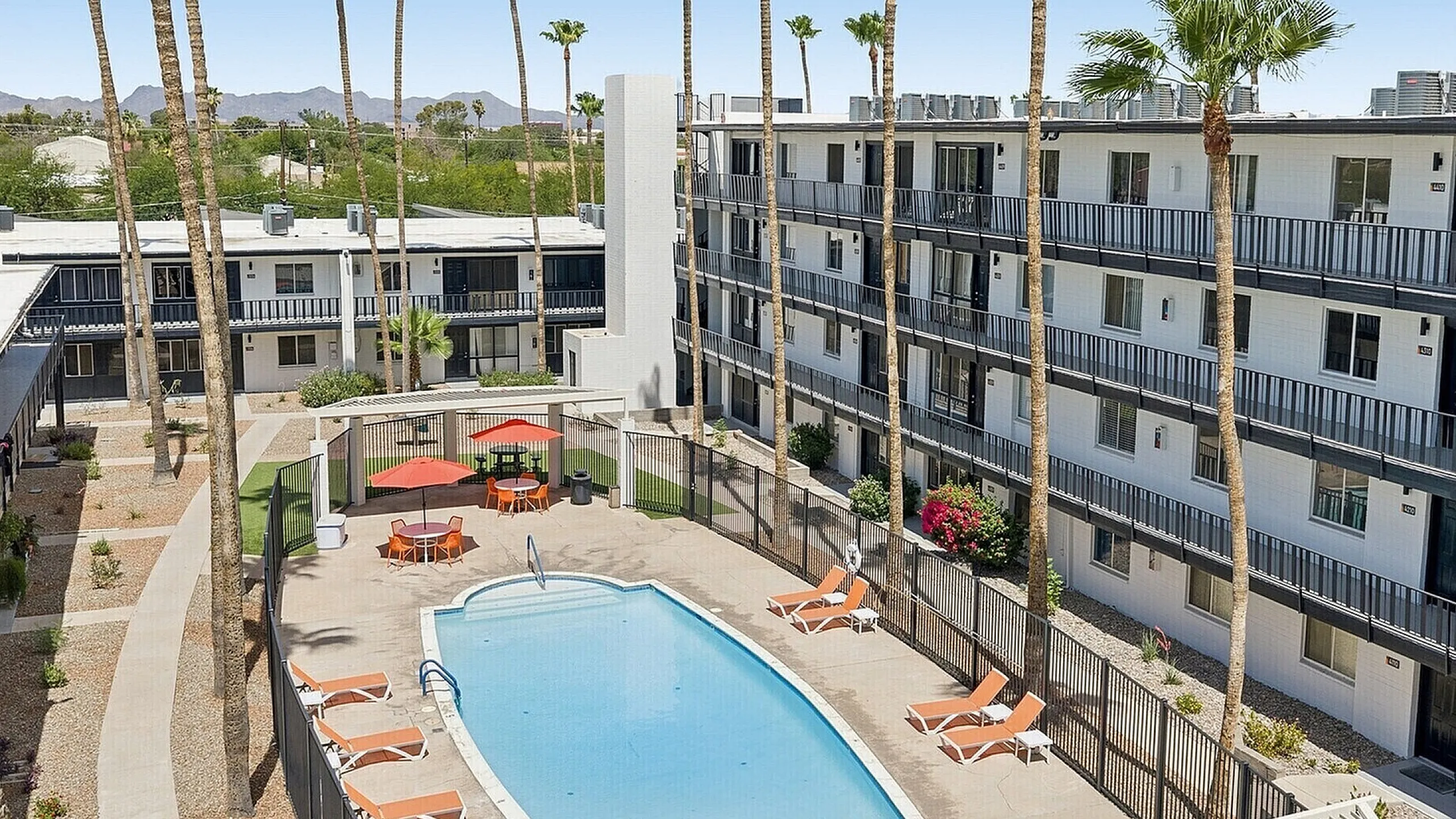 Sparkling swimming pool with palm trees and sun loungers at Miramonte on 3rd apartments in Tucson, AZ