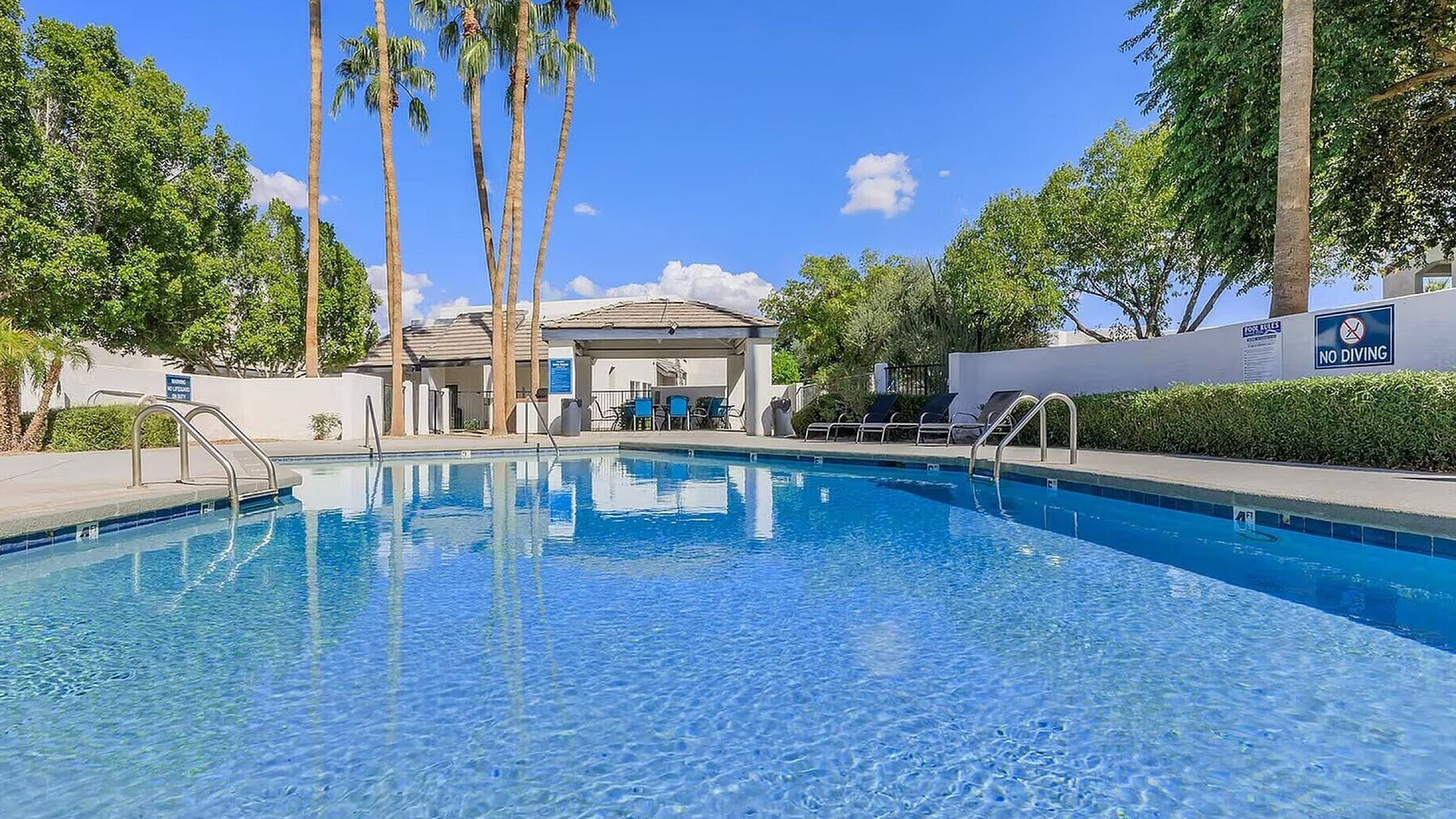 Inviting outdoor pool area with sparkling blue water, surrounded by tall palm trees and comfortable lounge seating for a relaxing retreat.