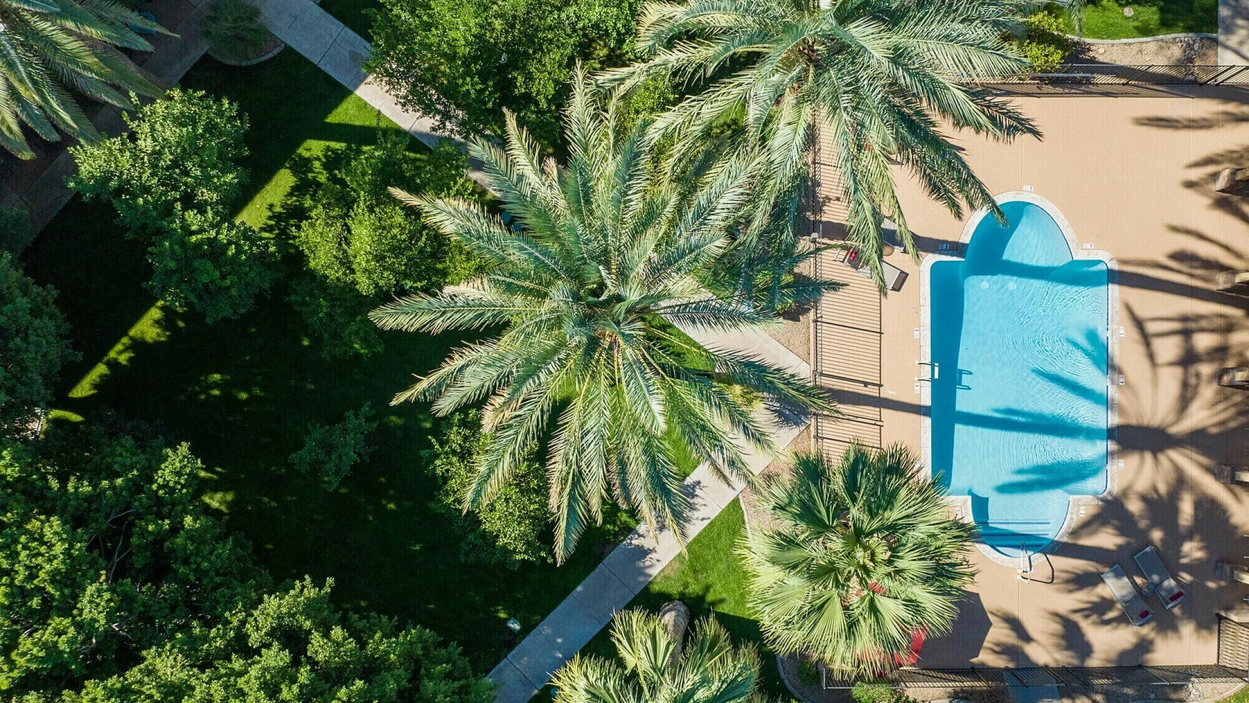 Aerial view of luxurious apartment complex pool surrounded by lush palm trees and greenery, perfect for relaxation and leisure.
