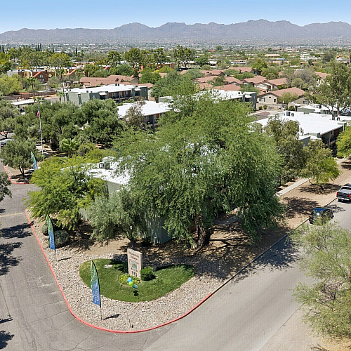 Scenic aerial view showcasing a lush residential area with tree-lined streets and distant mountain backdrop.