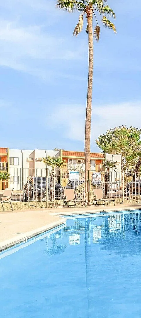 Inviting outdoor pool area with tall palm trees under a bright blue sky, creating a relaxing oasis in the apartment complex.