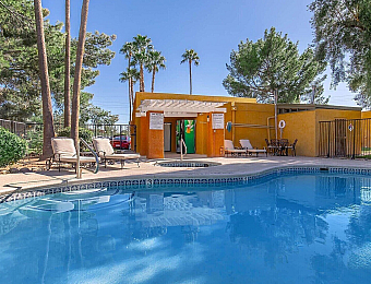 Inviting outdoor swimming pool surrounded by lush greenery and comfortable seating, perfect for relaxation.