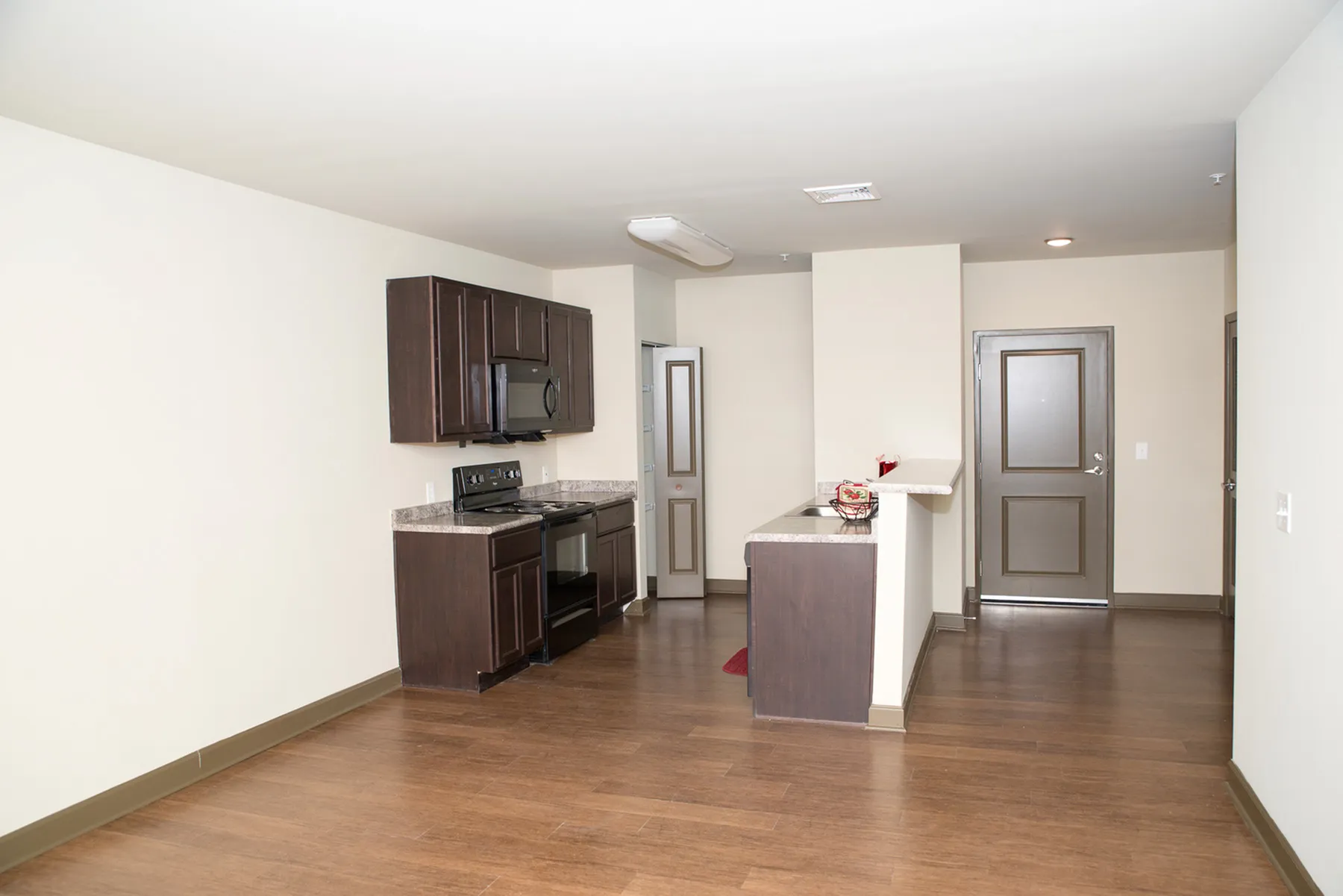 Apartment Featuring a kitchen and wood plank flooring