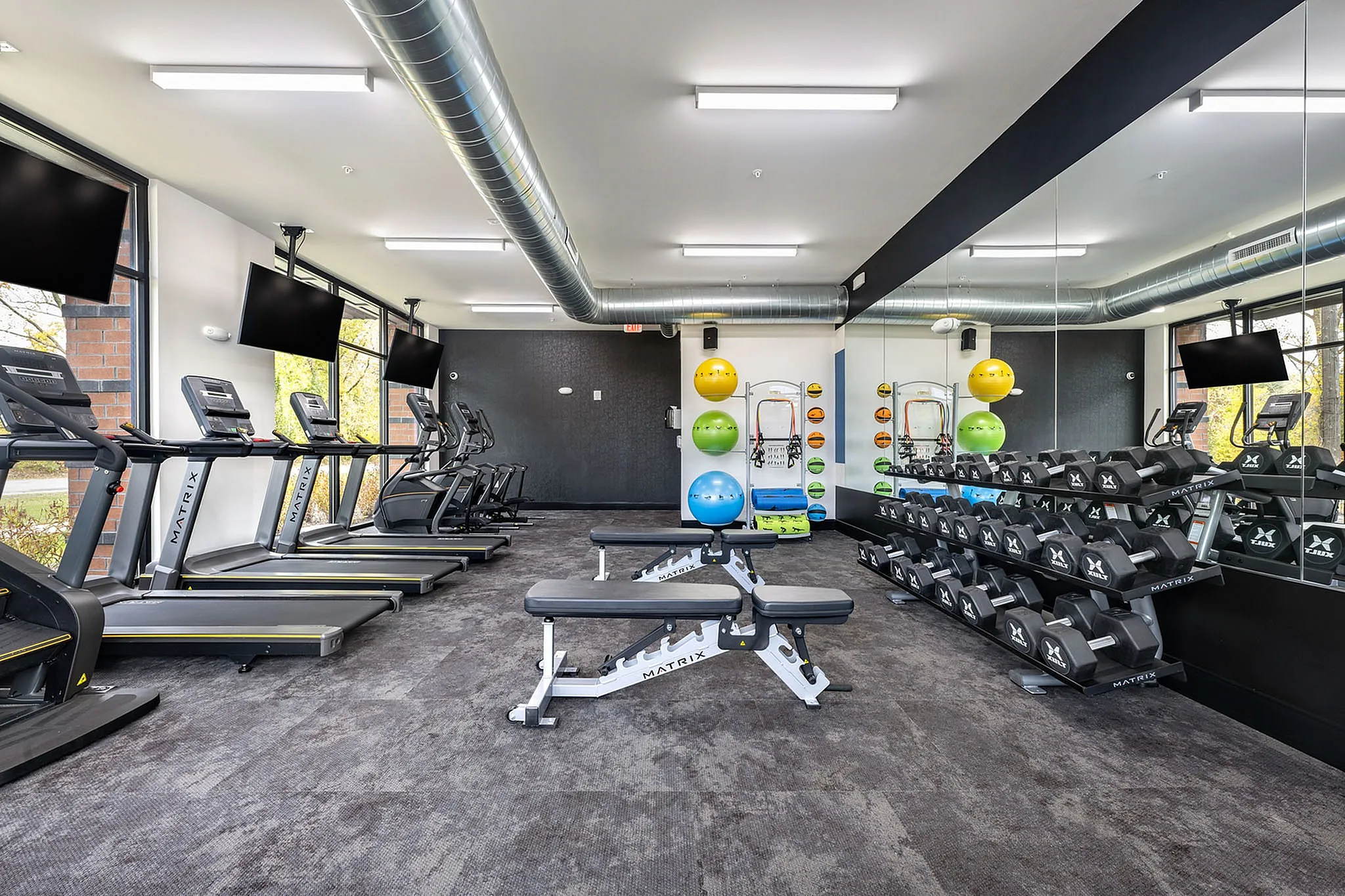 Modern fitness center featuring state-of-the-art treadmills, vibrant exercise balls, and well-organized dumbbell racks.