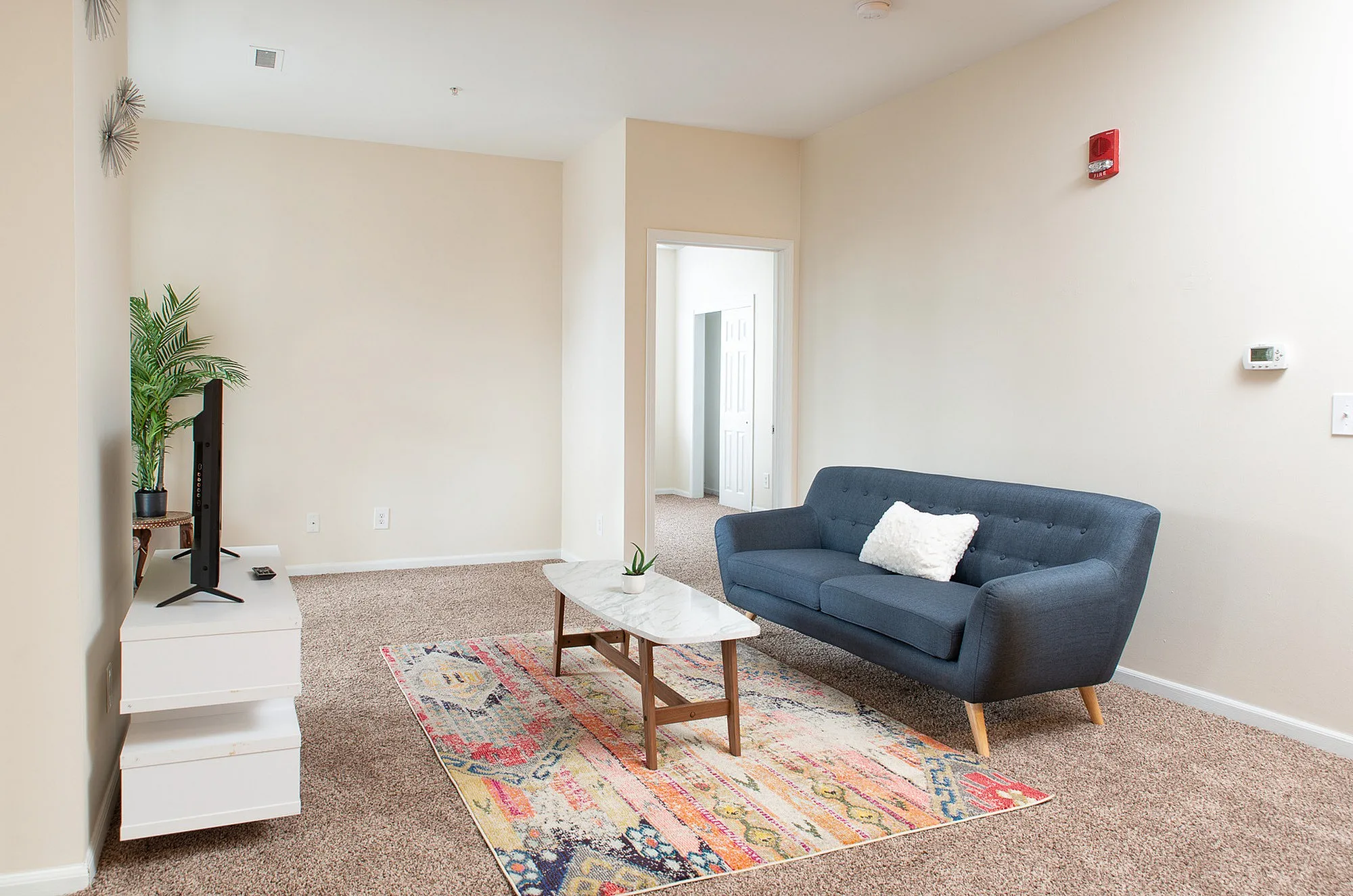 Cozy living room featuring a modern blue sofa, vibrant area rug, and minimalist coffee table, enhanced by a TV and lush plant decor.