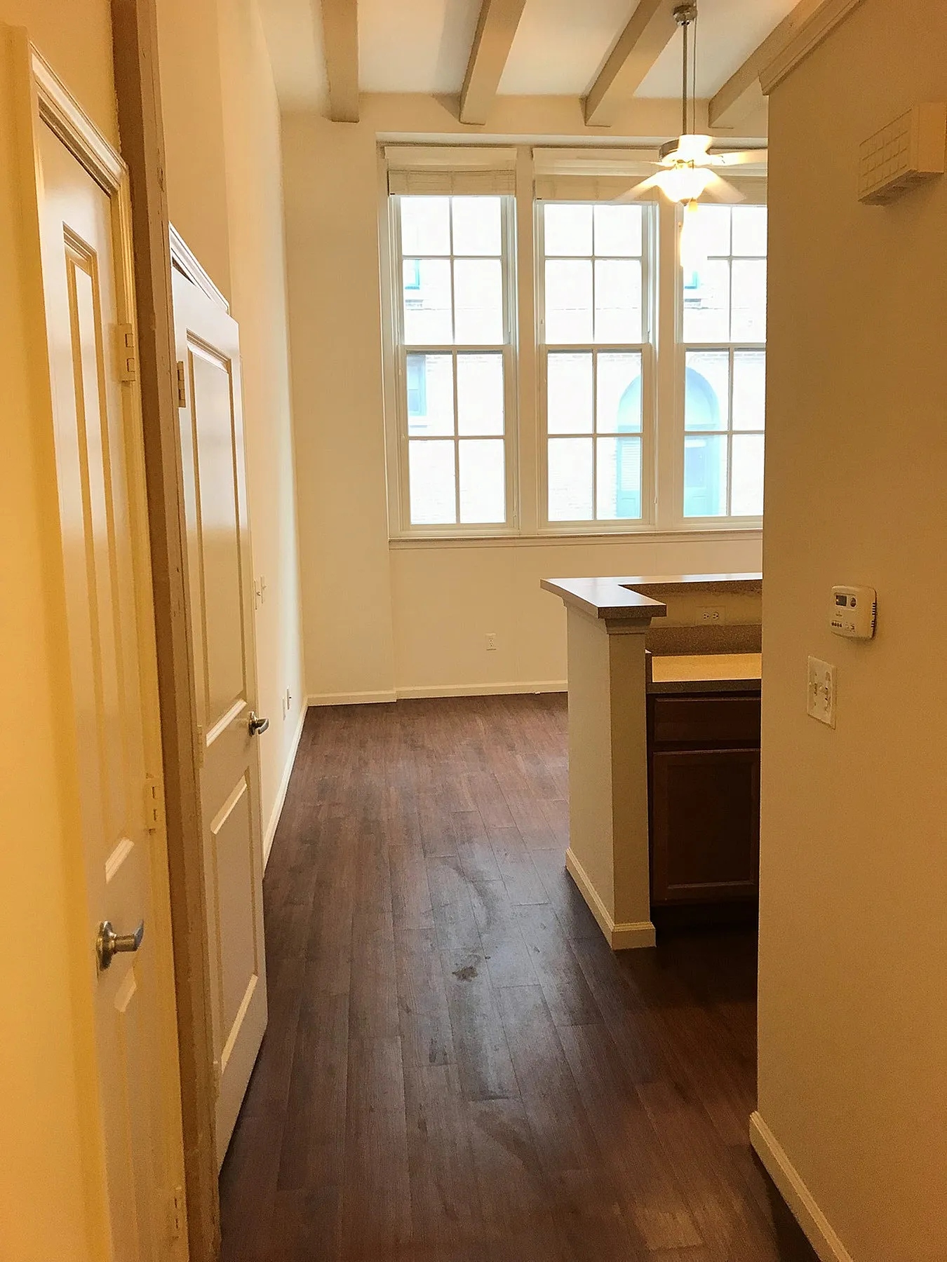 Inviting hallway with elegant hardwood flooring and ample natural light from large windows, perfect for cozy living.