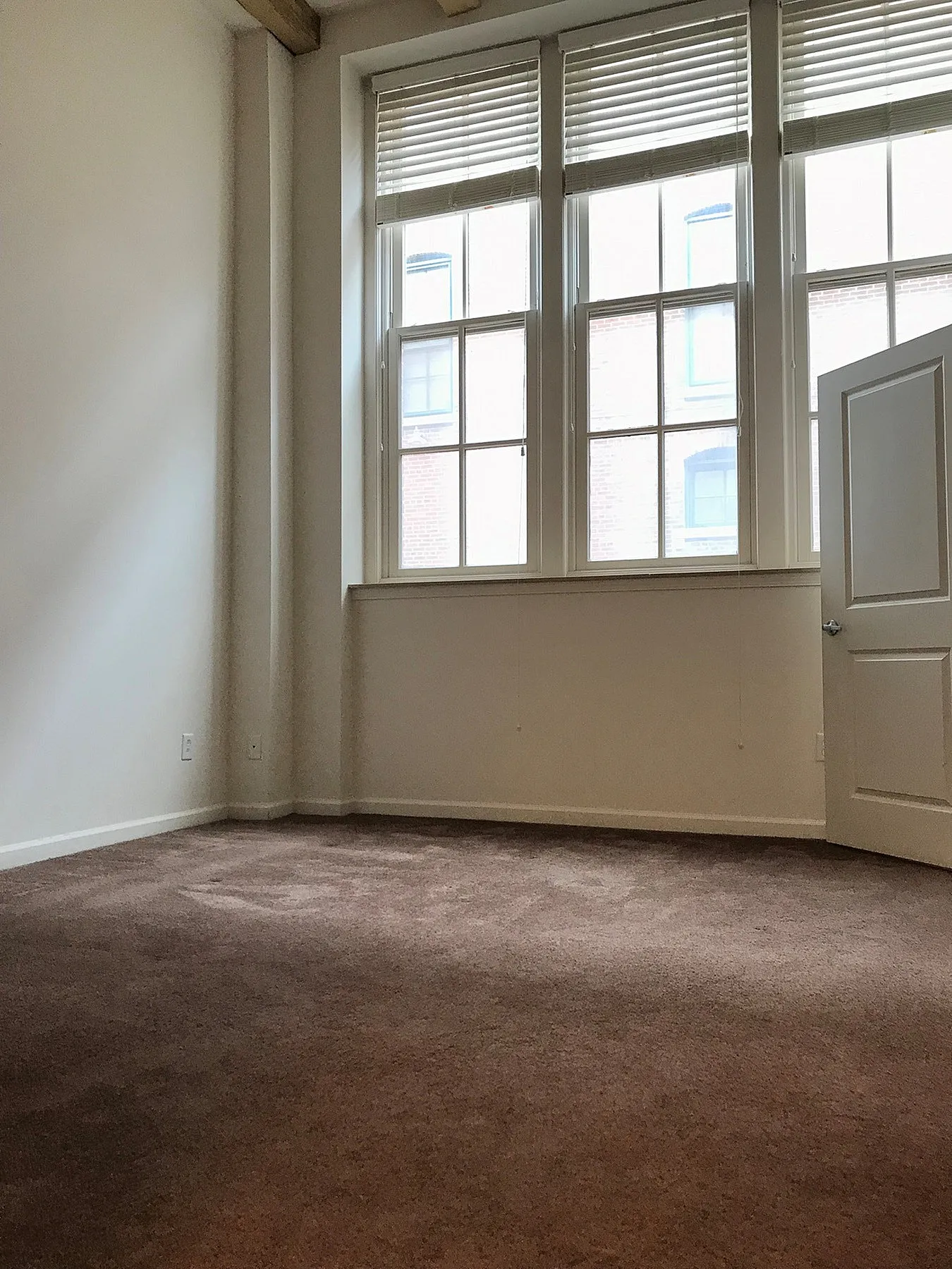 Bright and airy apartment room with large windows, plush carpet, and inviting natural light.