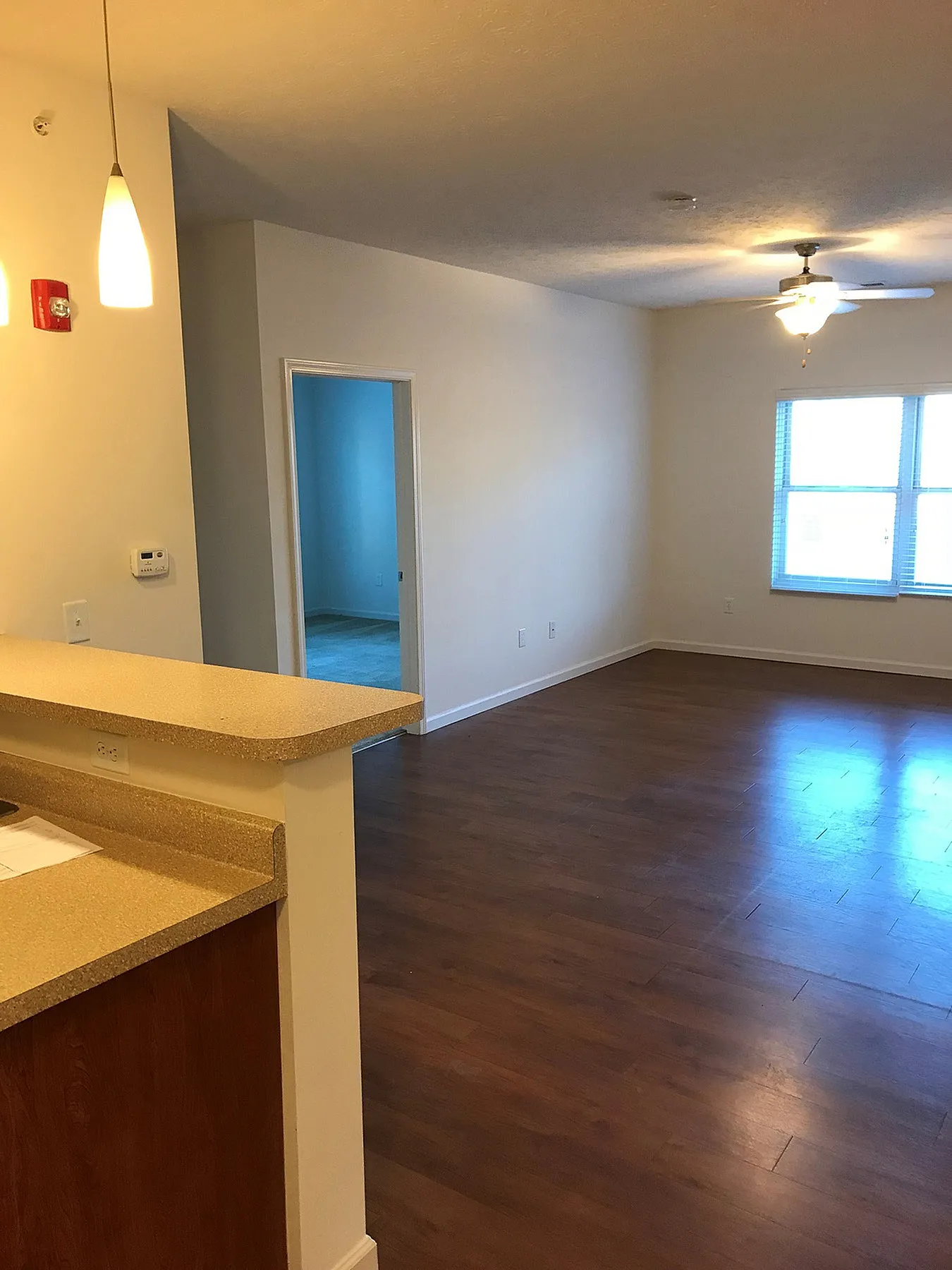 Inviting apartment interior with open-plan living space, warm wood flooring, and cozy pendant lighting.