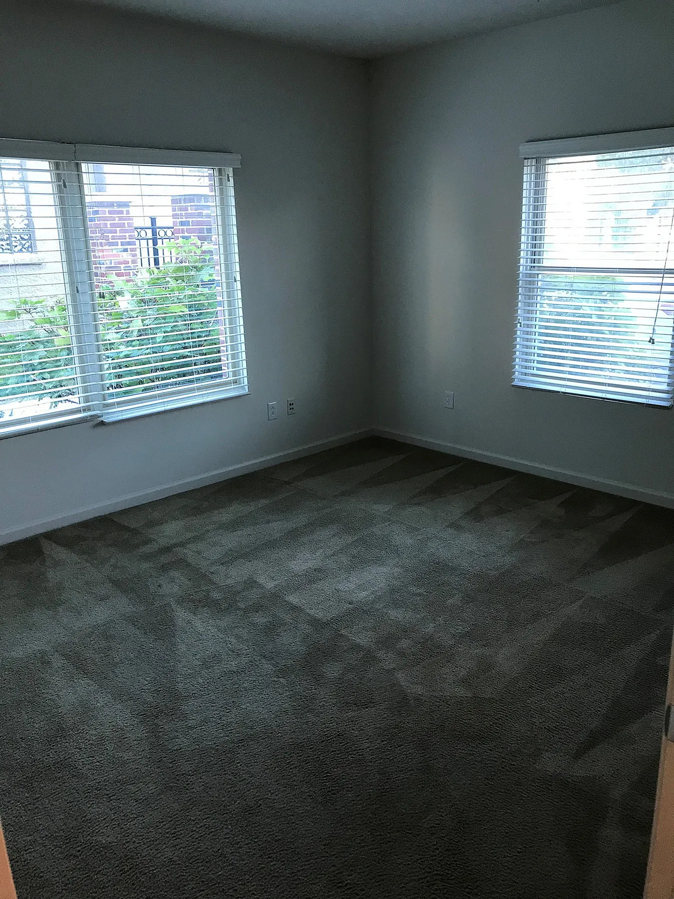 Bright bedroom with plush carpet and large windows offering a scenic view, perfect for creating a cozy sanctuary.