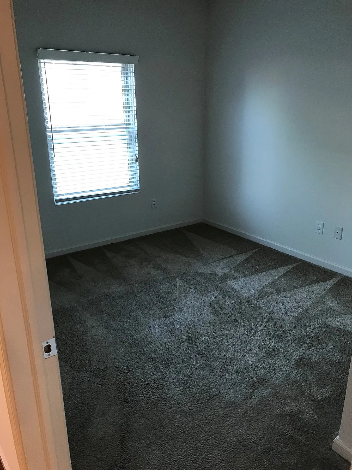 Cozy room with freshly cleaned carpet and bright natural light from a large window.
