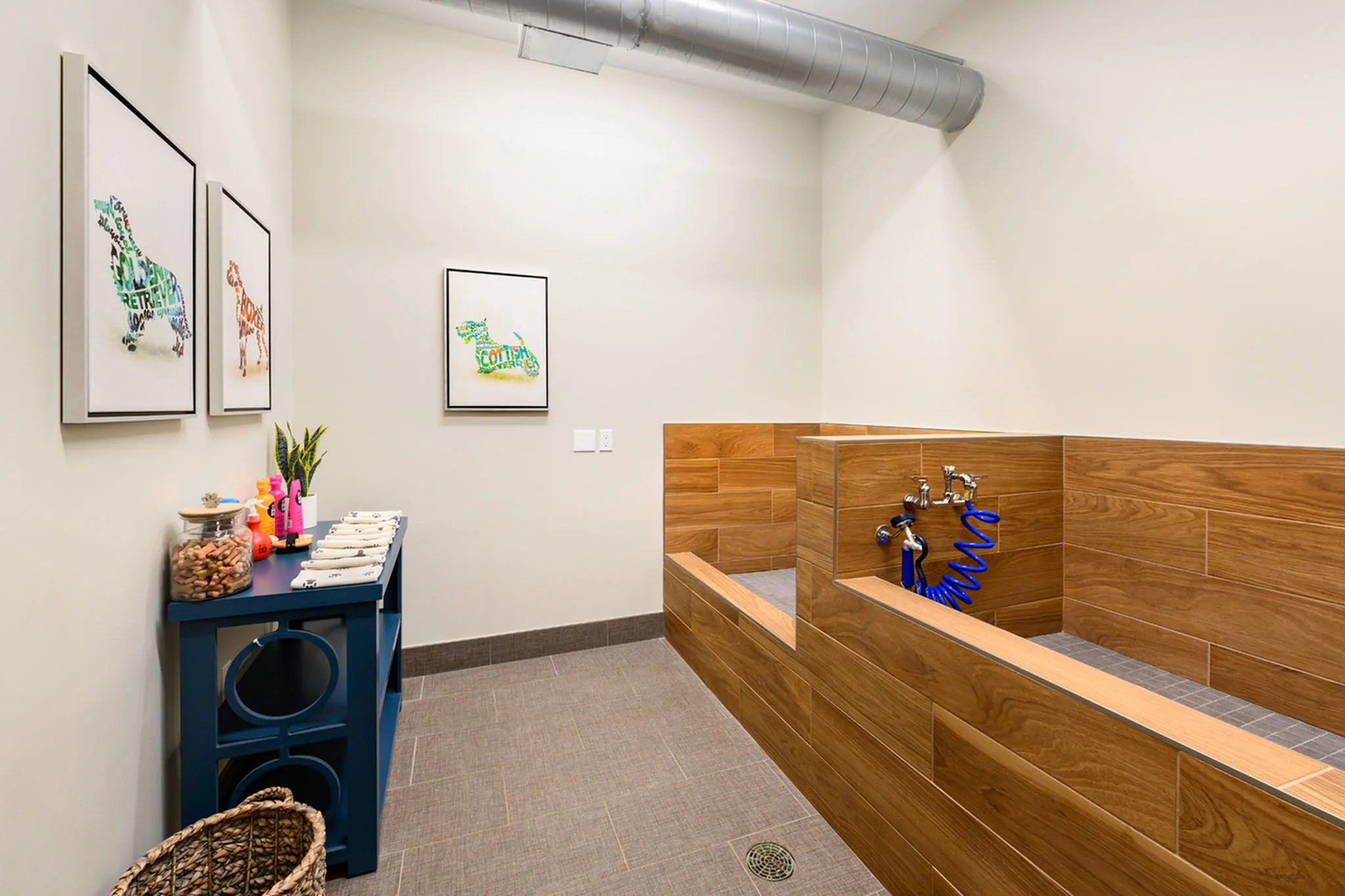 Contemporary dog wash station featuring wooden fixtures, vibrant art, and convenient closed shelving.