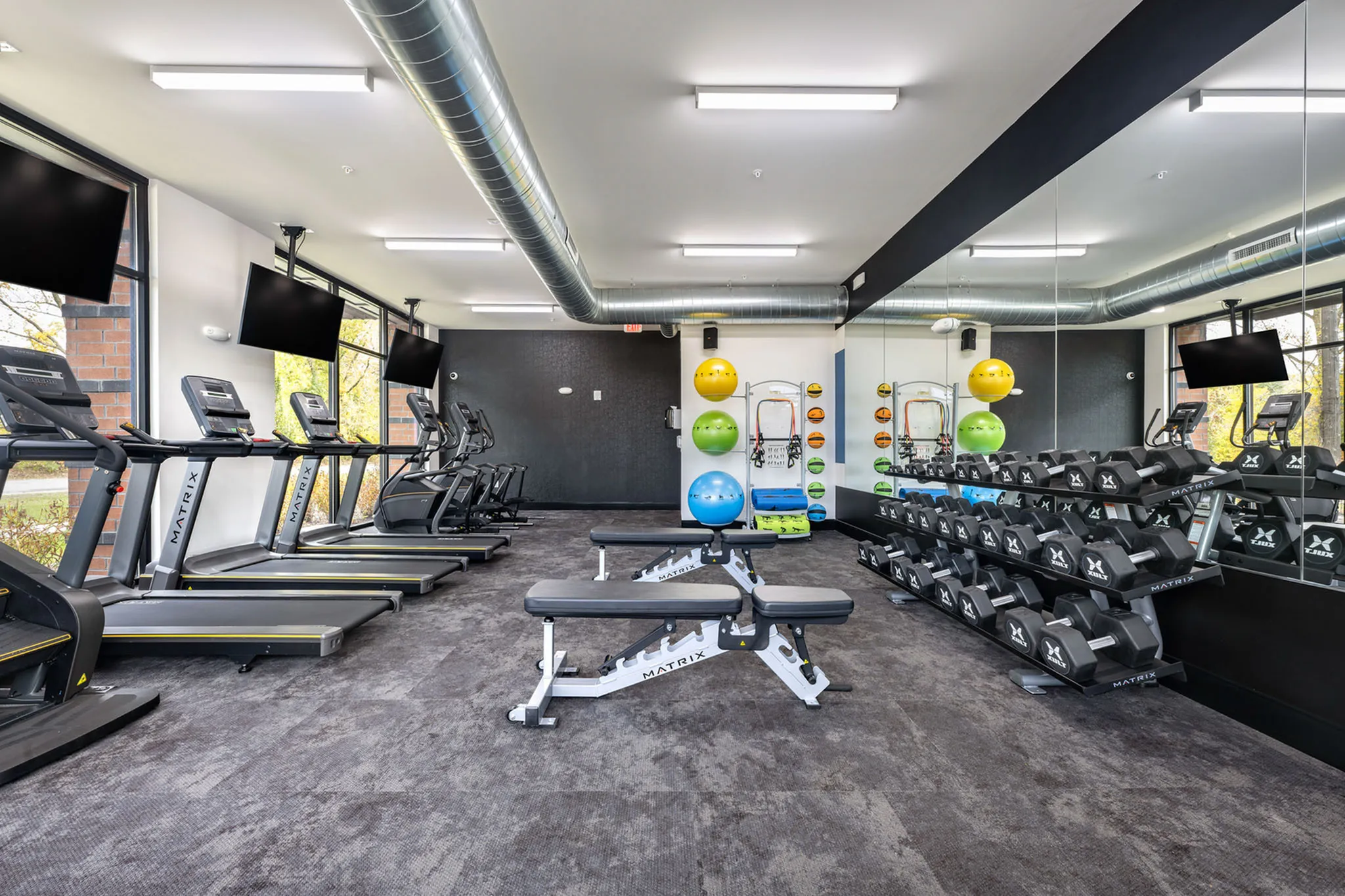 Modern fitness center featuring state-of-the-art treadmills, vibrant exercise balls, and a full set of free weights.