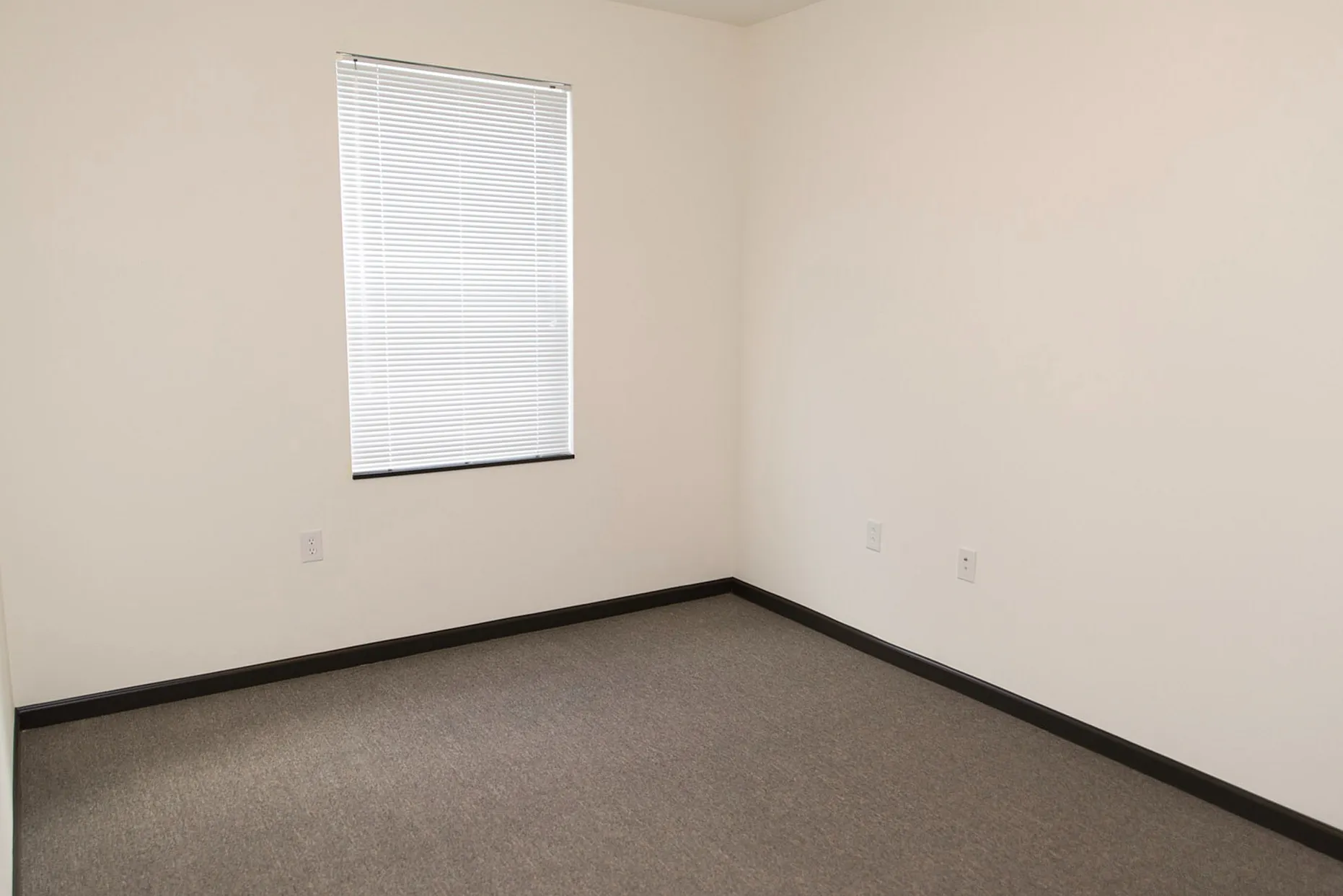 Empty Room with Carpet