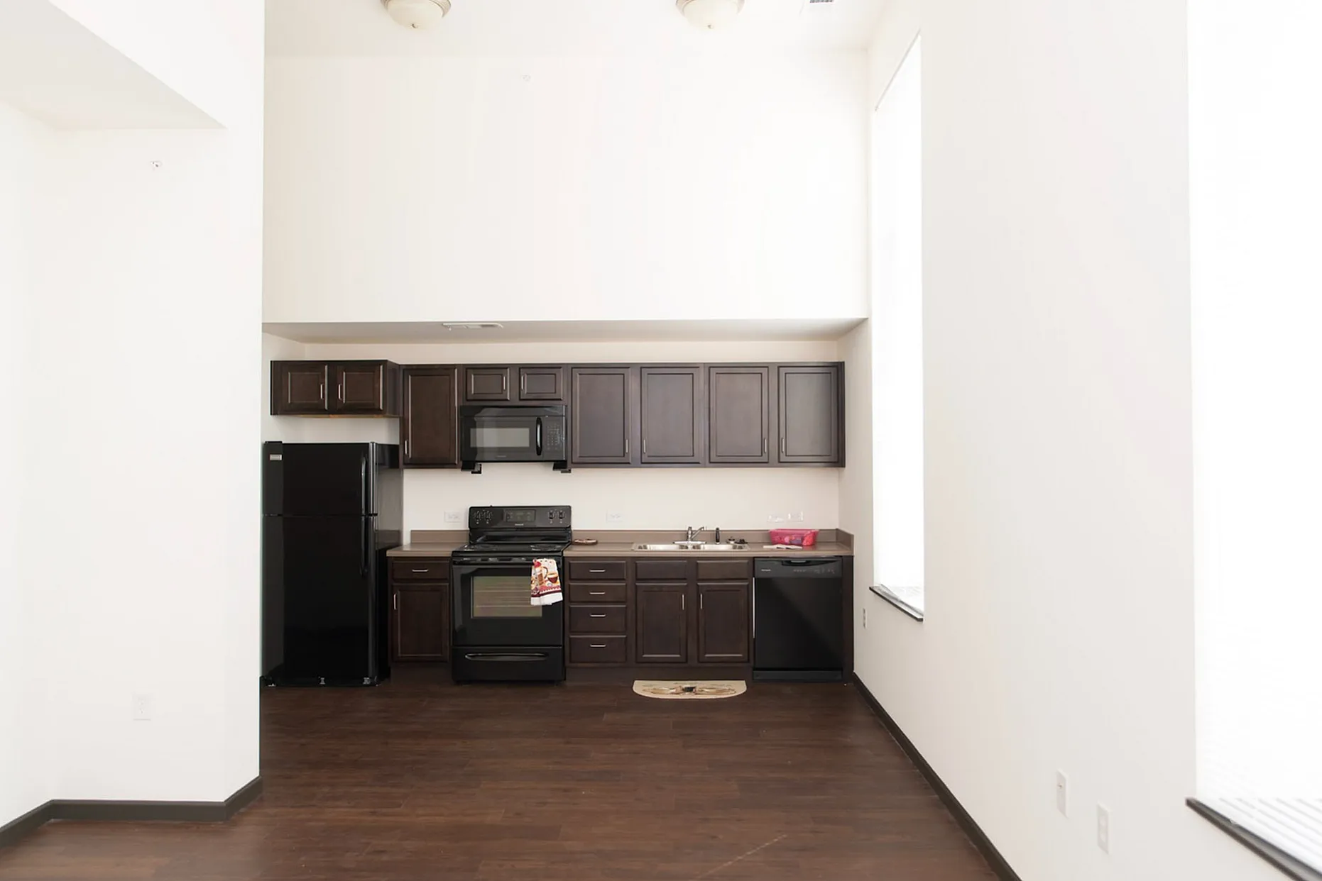 Modern Kitchen Interior