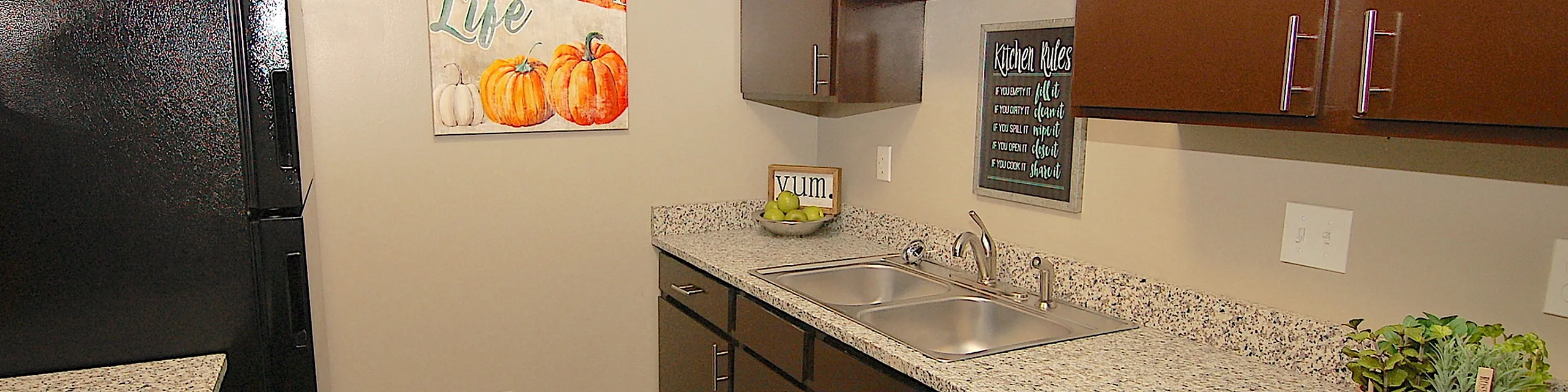 Charming kitchen with sleek dark cabinets, granite countertops, and warm wood flooring, adorned with vibrant decor and lush greenery for a cozy atmosphere.