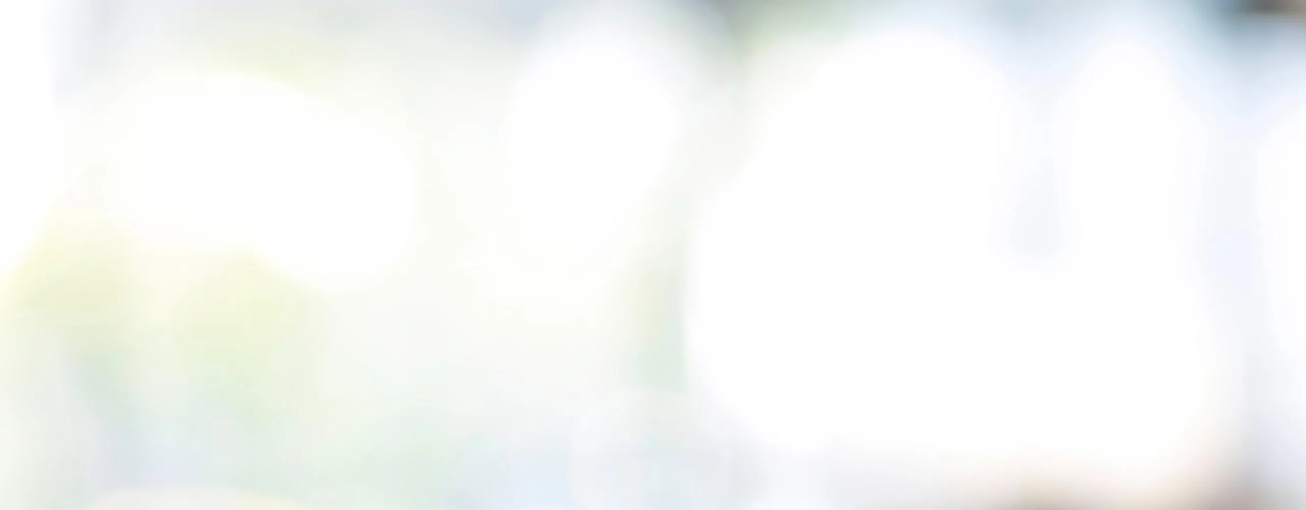 Morton School Senior - Blurred Image