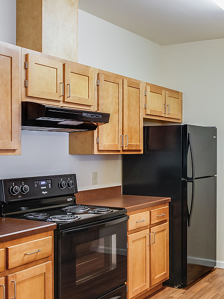 Modern kitchen with sleek black appliances, warm wooden cabinets, and ample countertop space.