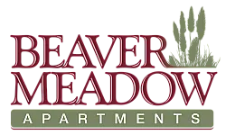 Elegant logo design for Beaver Meadow Apartments with rich maroon typography and a nature-inspired cattail motif.