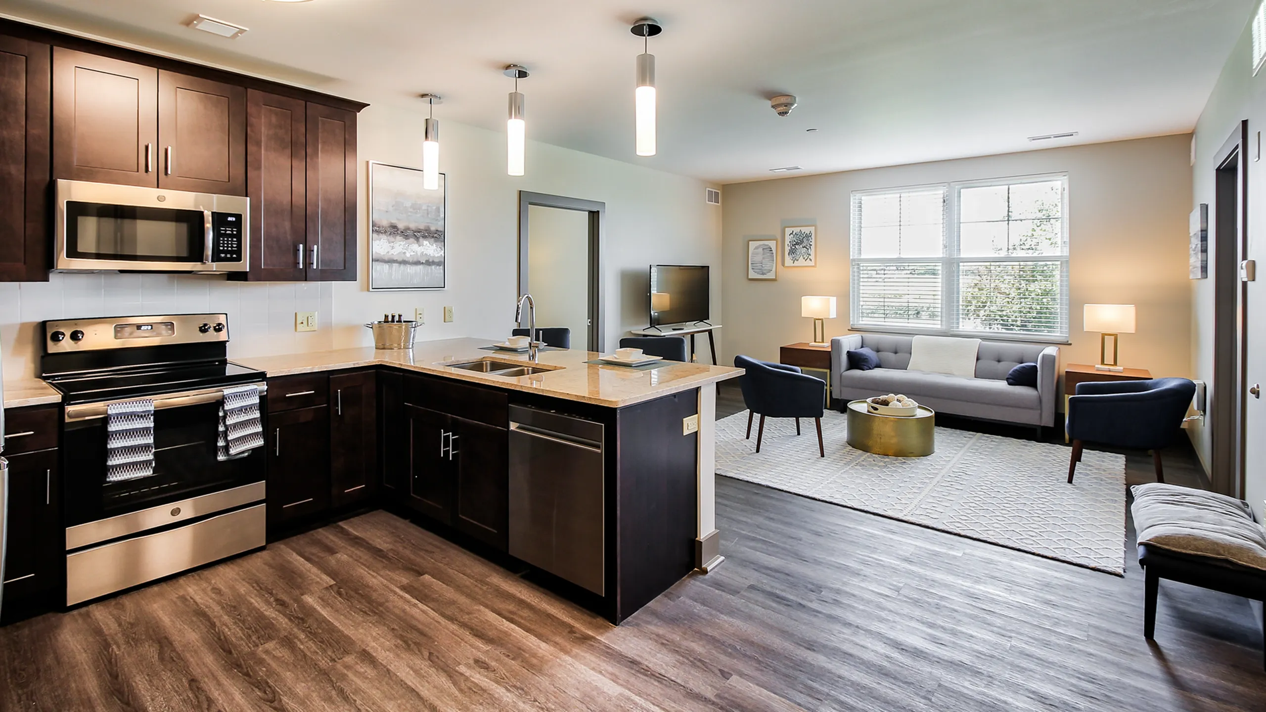Modern open-concept kitchen and living room with stylish dark cabinets, sleek stainless steel appliances, and bright natural lighting.
