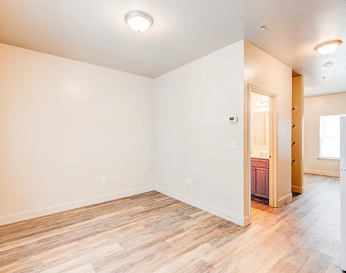 Bright and inviting apartment interior featuring elegant wood flooring, modern lighting, and a view into a cozy kitchen area with ample natural light.