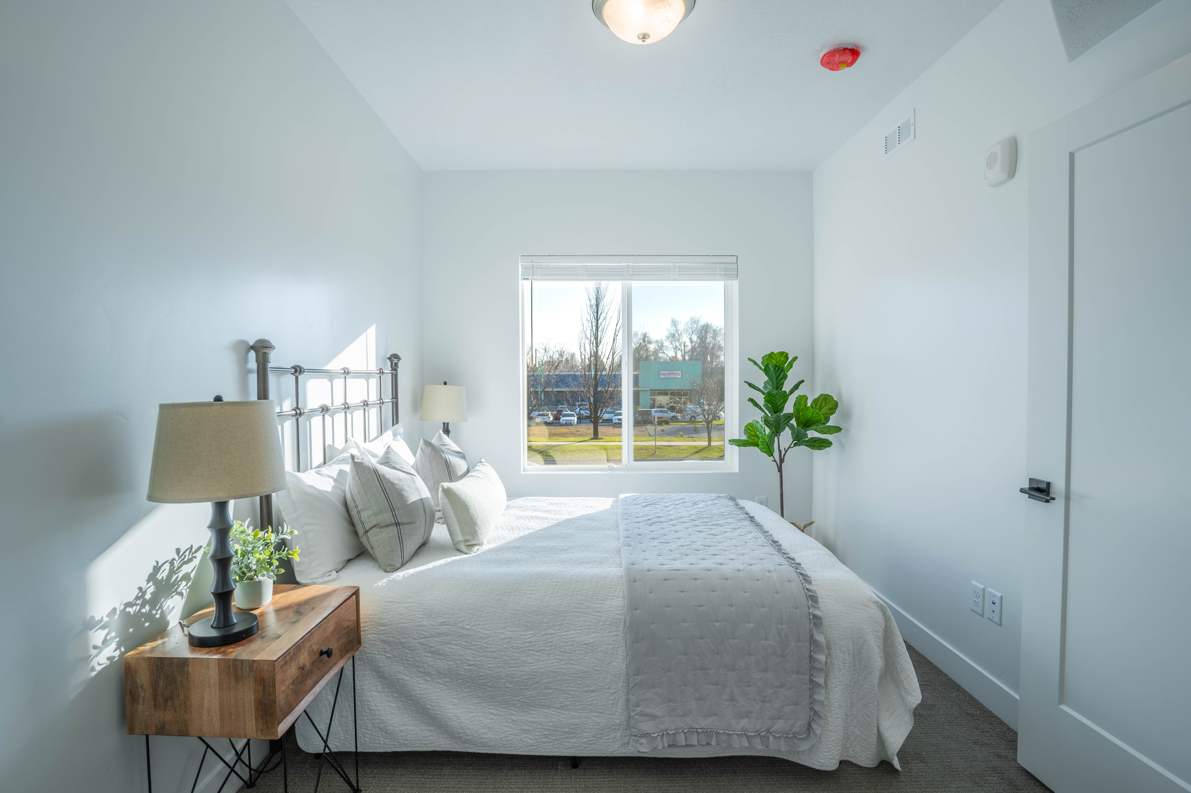 Bright and cozy bedroom with modern decor, featuring a comfortable bed, stylish wooden nightstand, and lush greenery by a sunlit window.