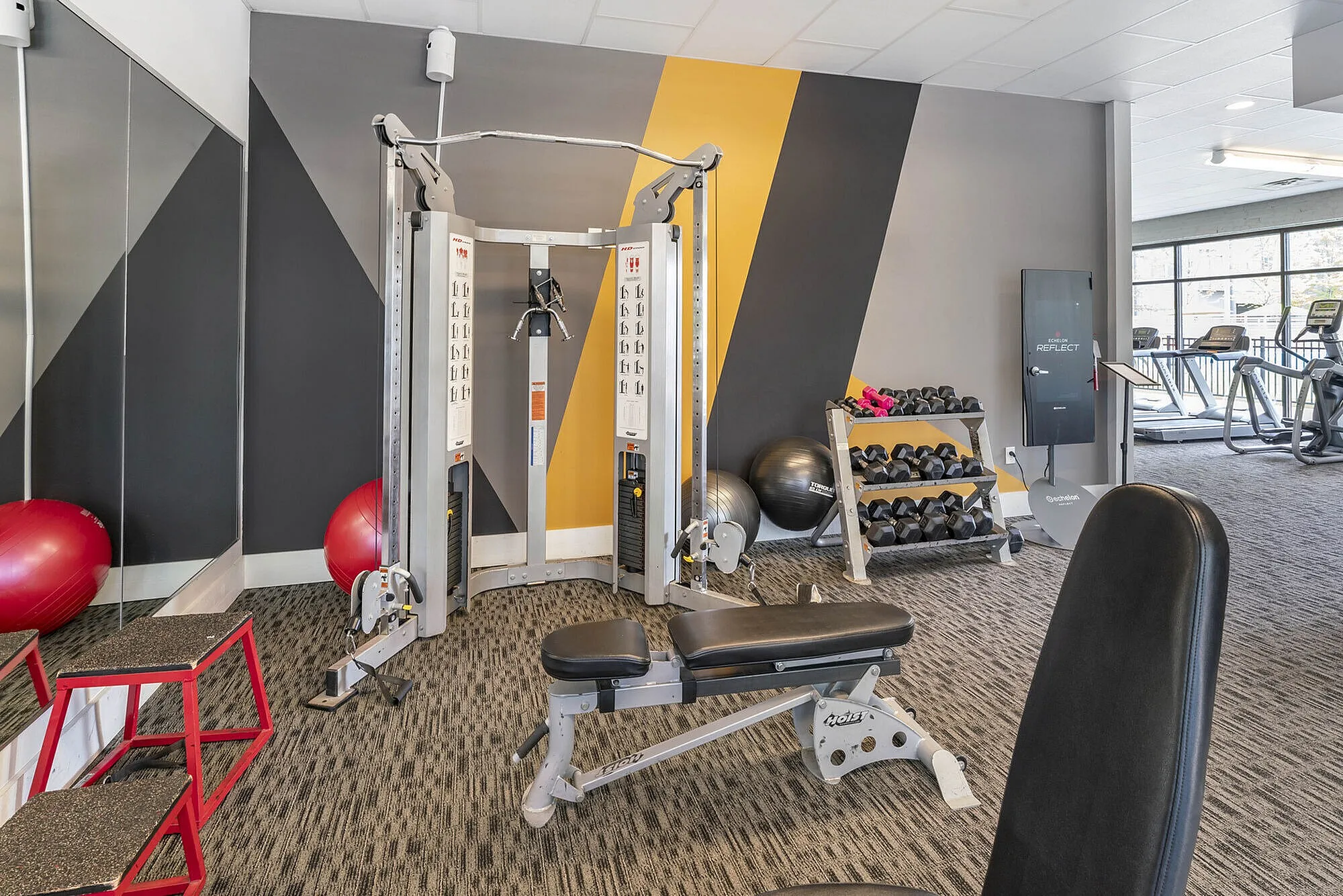 Modern fitness center featuring a multi-functional cable machine, weight bench, free weights, and treadmills with vibrant wall accents.