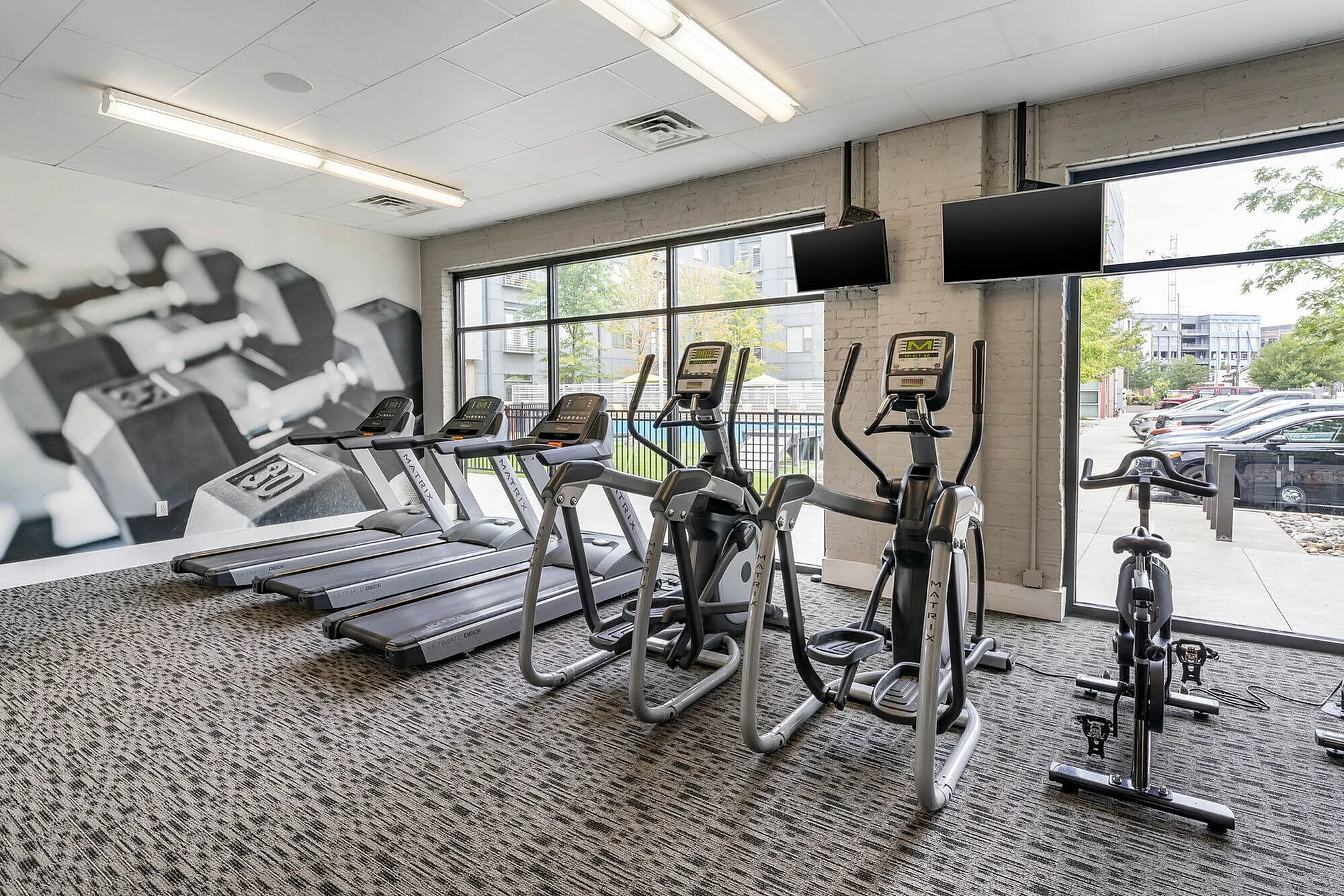 Modern fitness center with state-of-the-art treadmills, ellipticals, and exercise bikes, featuring large windows and a sleek dumbbell mural.