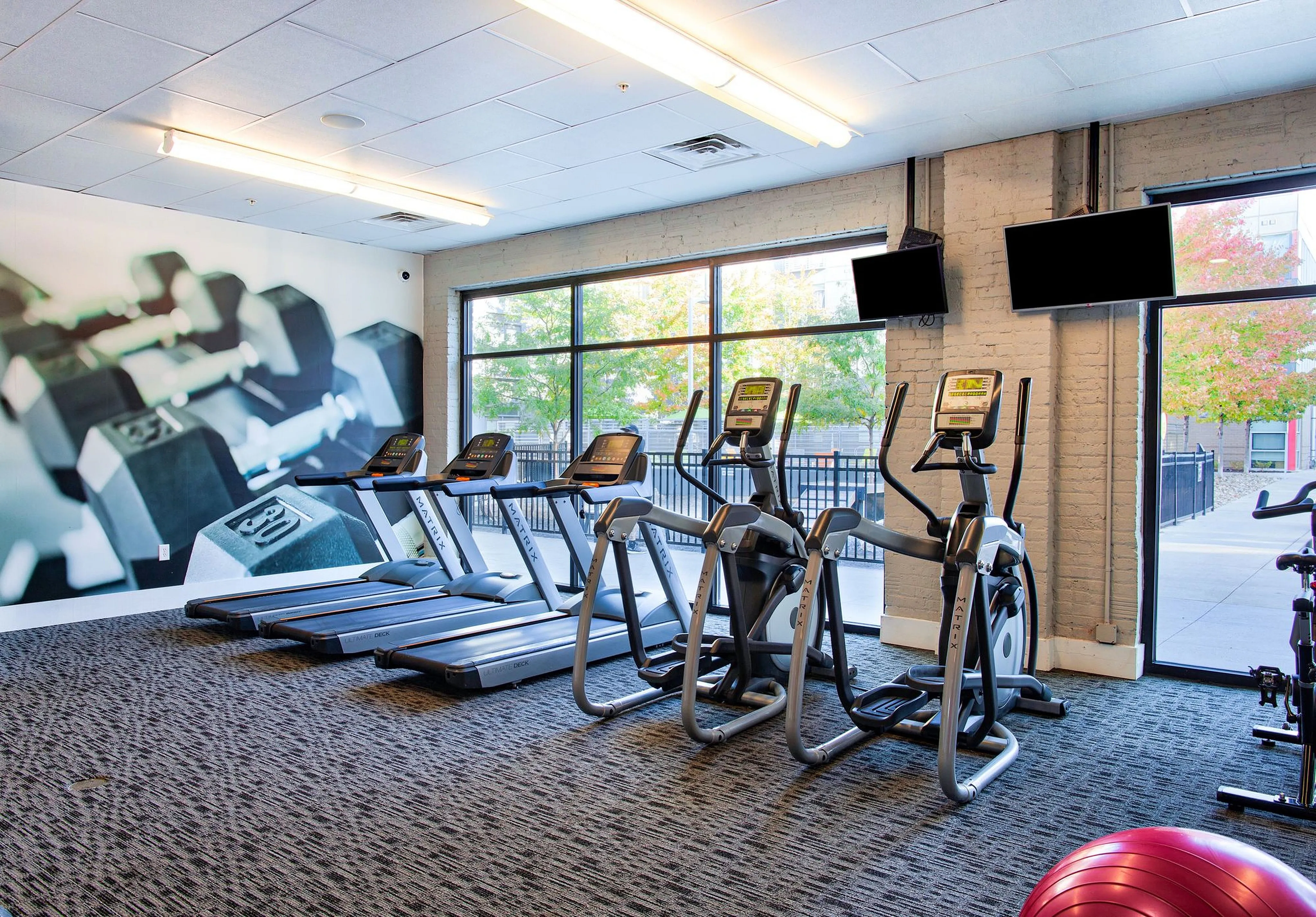 Modern fitness center featuring treadmills and elliptical machines with large windows providing natural light and a vibrant outdoor view.