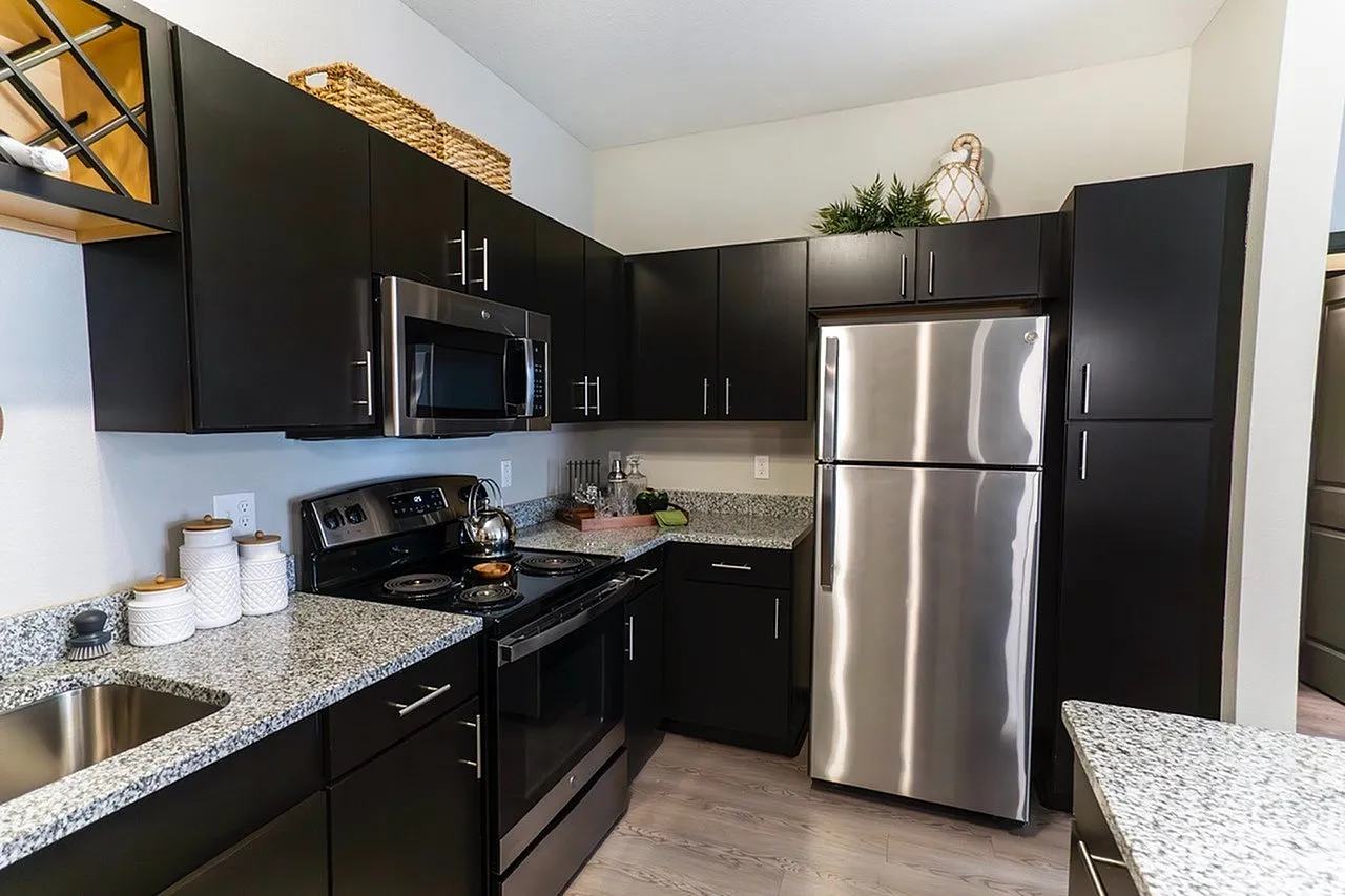 Modern kitchen design with elegant dark cabinetry, sleek stainless steel appliances, and polished granite countertops.