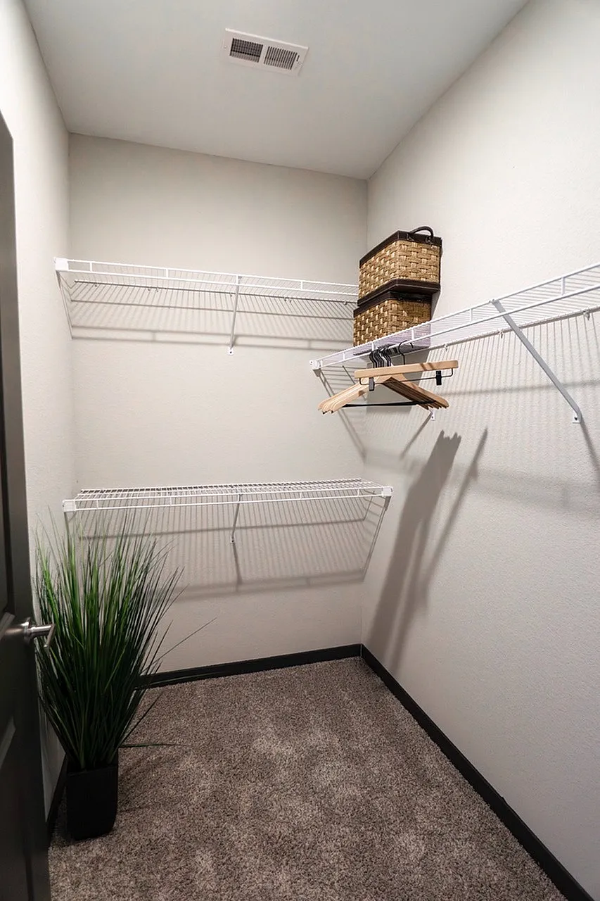 Spacious walk-in closet with stylish shelving, carpet flooring, and a touch of greenery for a luxurious storage solution.