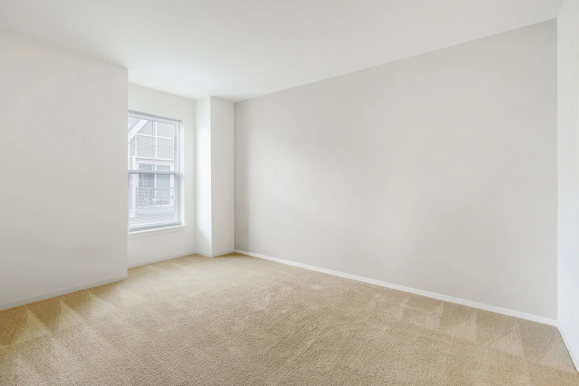 Bright, spacious room with a large window and plush beige carpet, perfect for personalization and comfort.