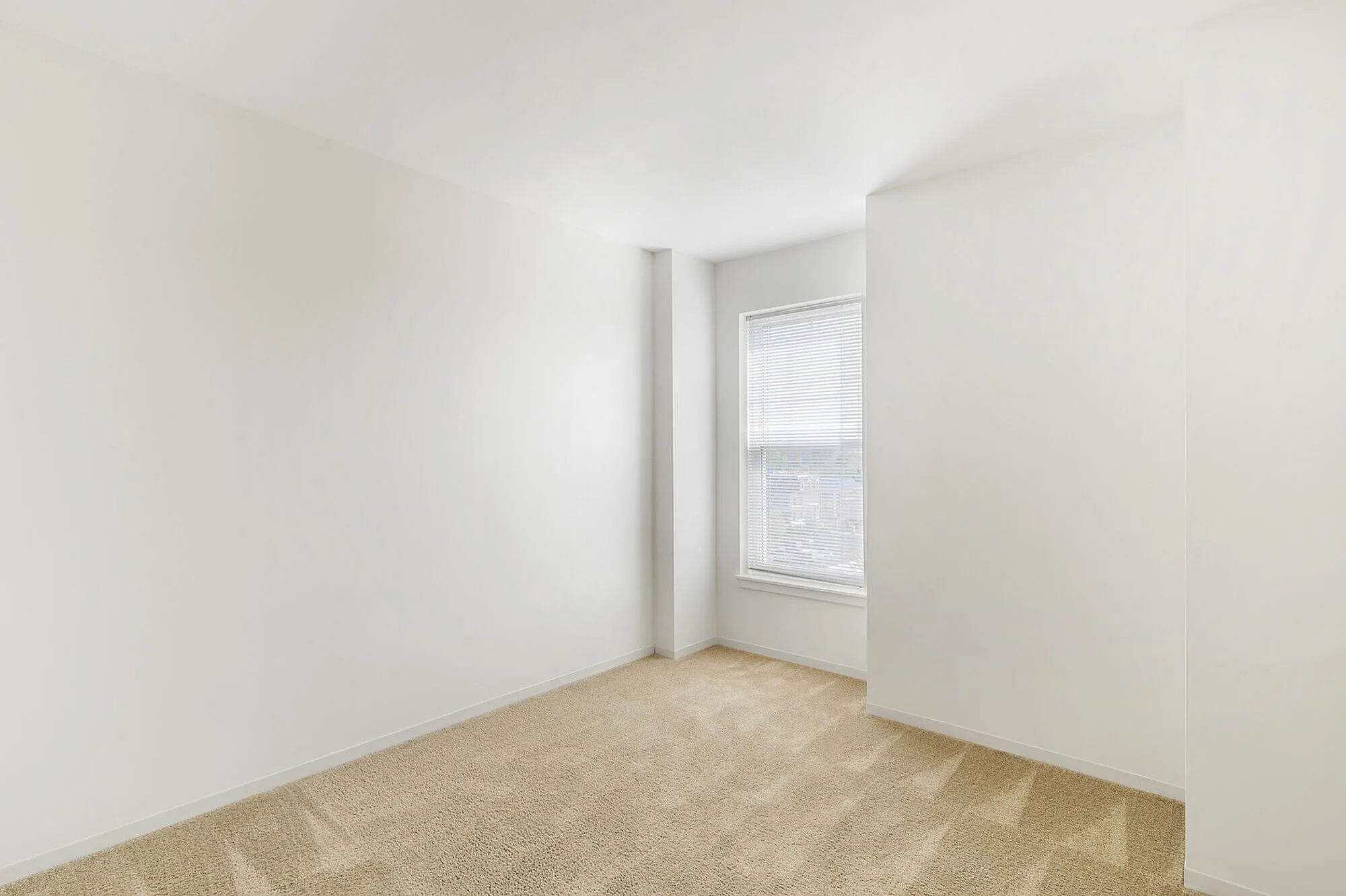Bright and airy empty room with soft carpet flooring and a large window, perfect for customization and personal style.