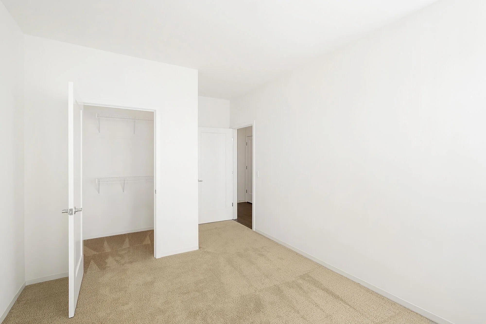 Bright and spacious bedroom with plush carpet and a walk-in closet, offering a cozy and inviting atmosphere.