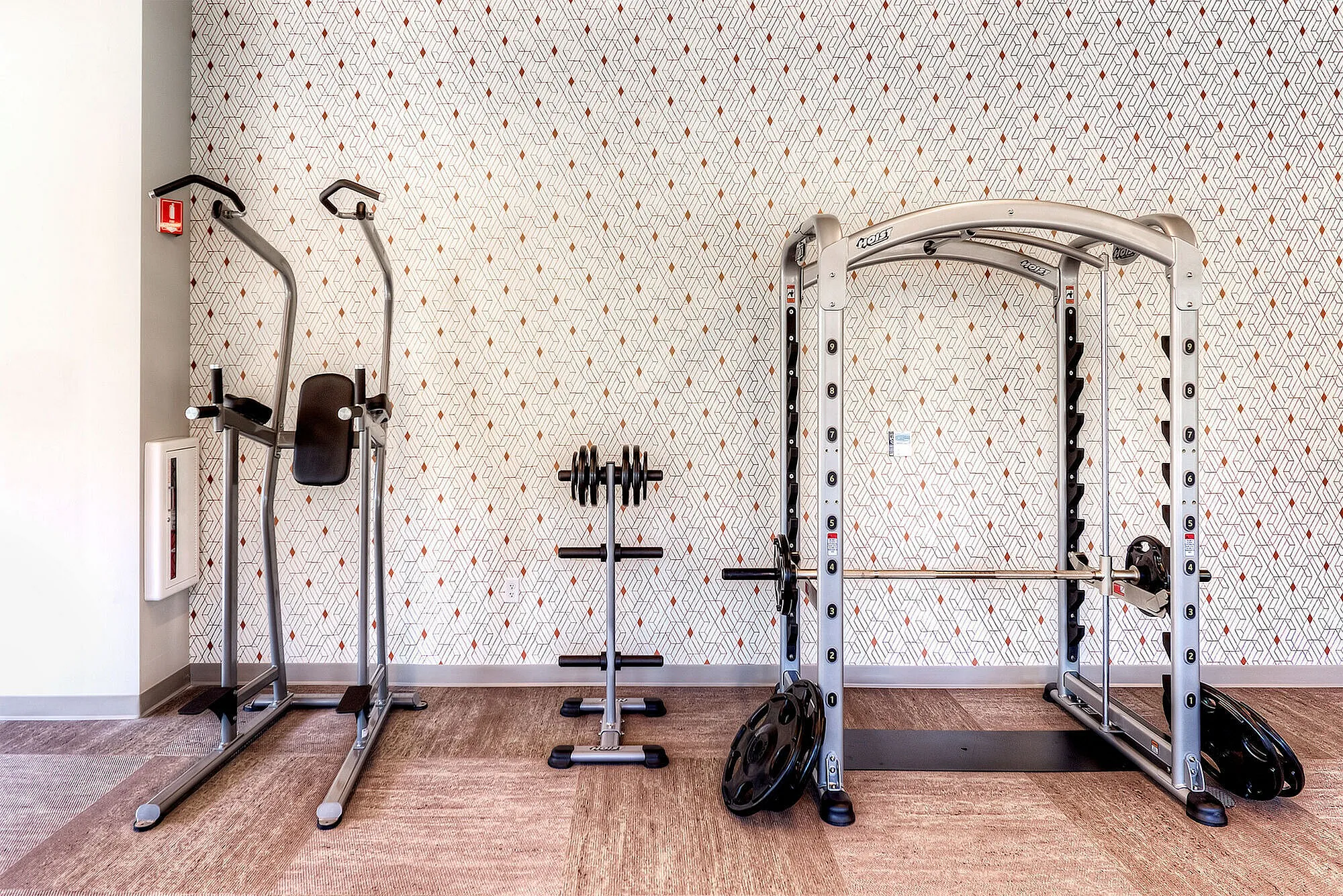 Modern fitness room featuring state-of-the-art exercise equipment, including a weight rack and power tower, set against stylish decorative wallpaper.