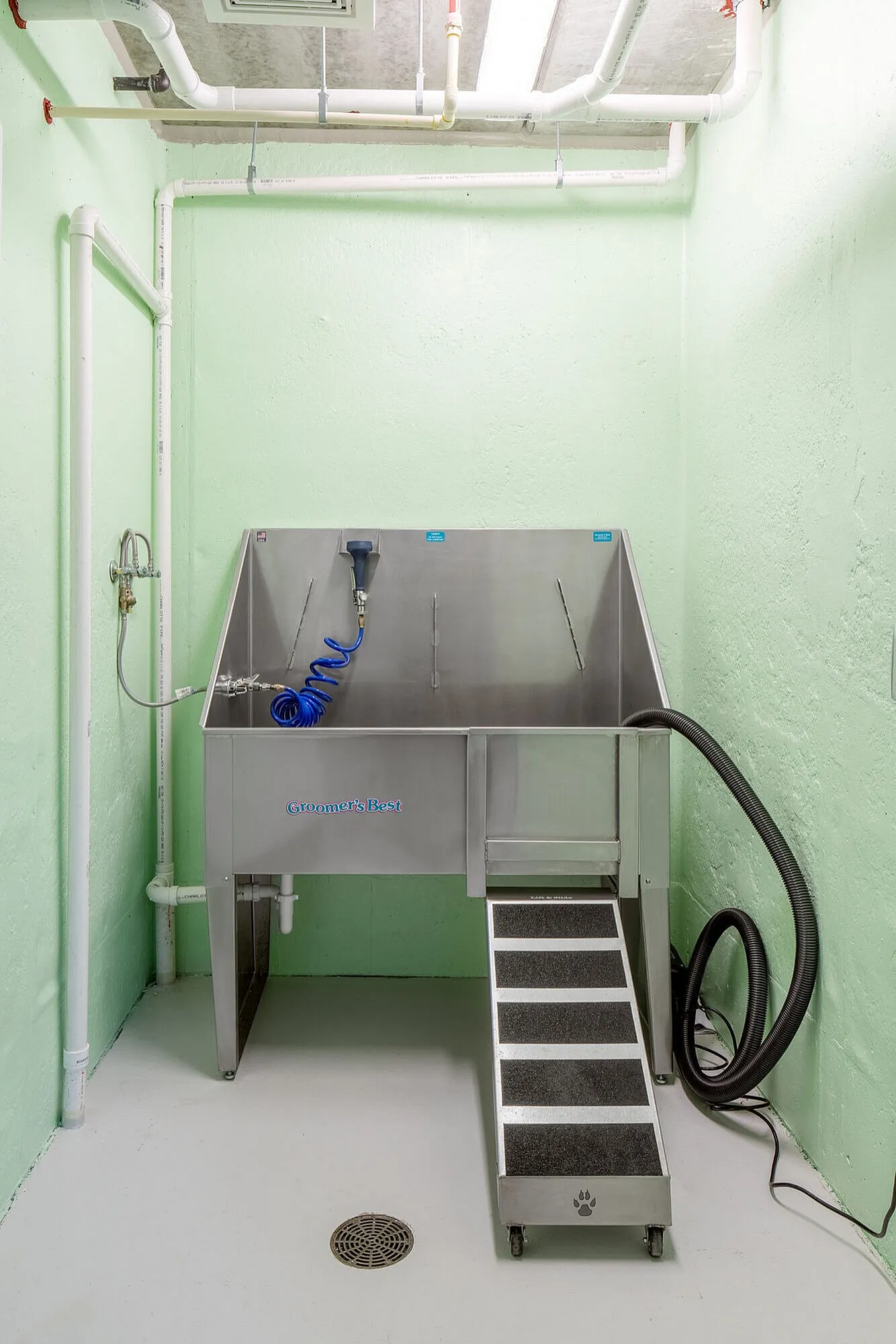 Modern pet grooming station with stainless steel wash area and convenient ramp in a bright, mint-colored room.