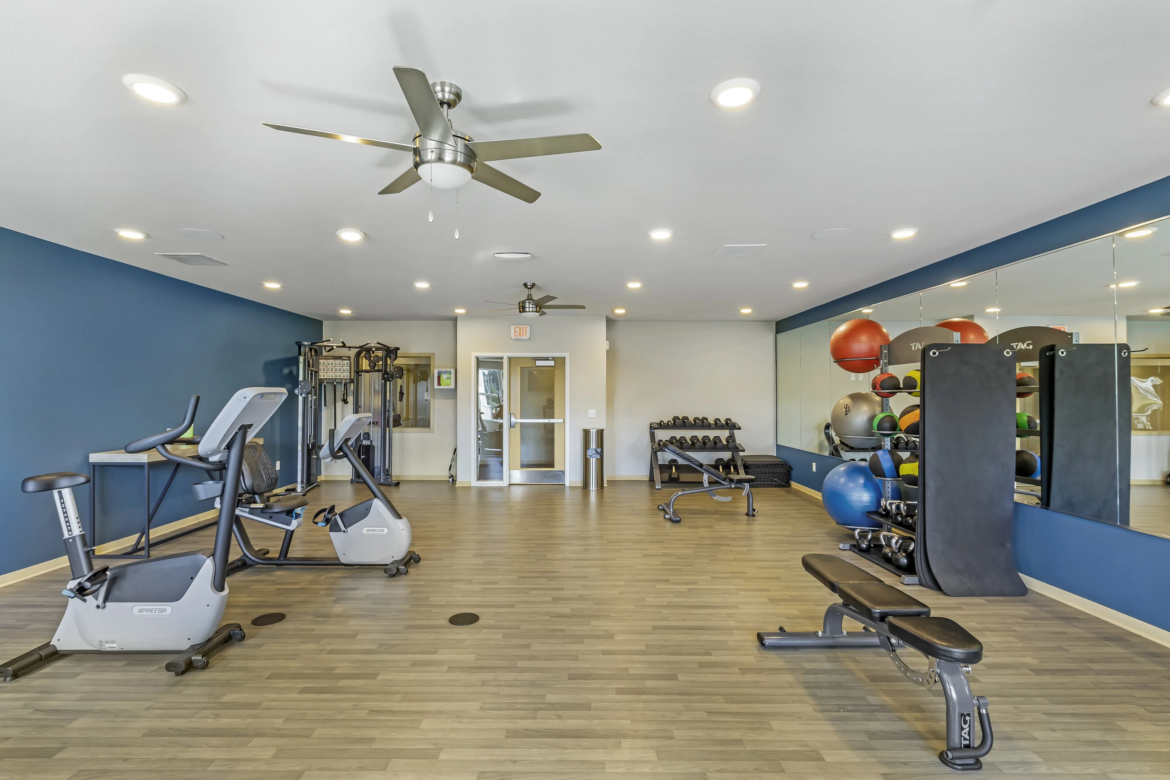 Modern fitness center featuring exercise bikes, weight machines, and vibrant workout balls in a spacious and bright environment.