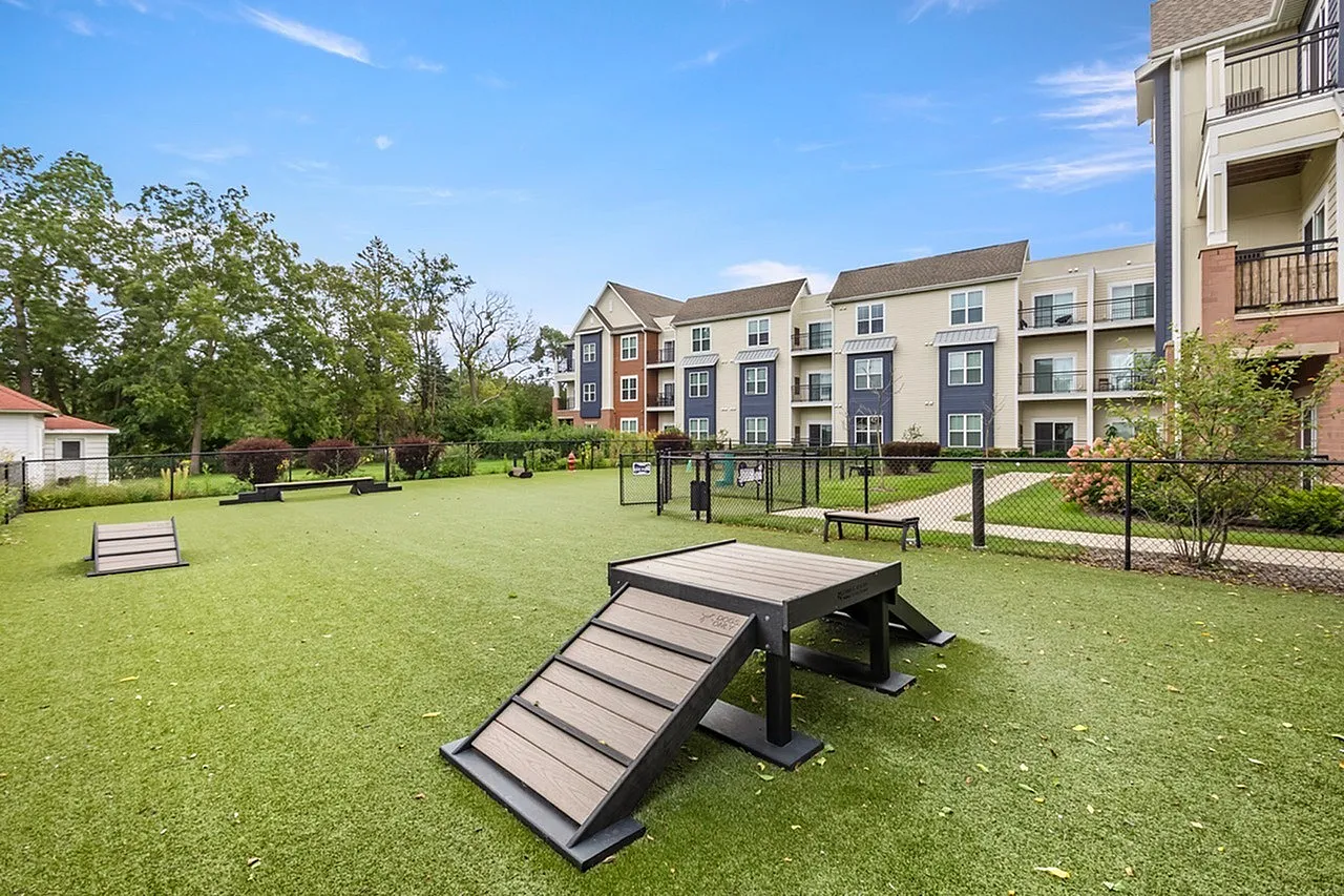 Inviting apartment complex with lush green dog park, agility equipment, and modern multi-story buildings in the background.