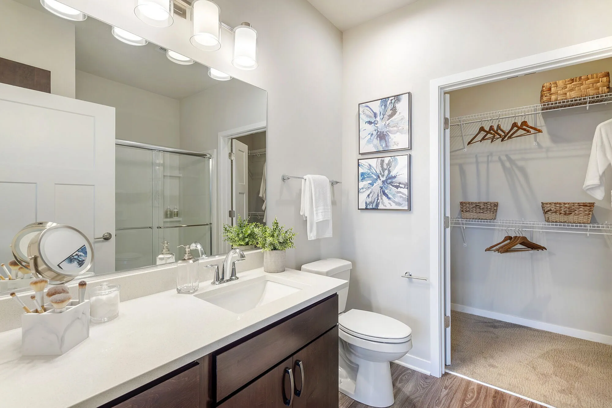 Elegant bathroom with modern fixtures, stylish decor, and a spacious walk-in closet.