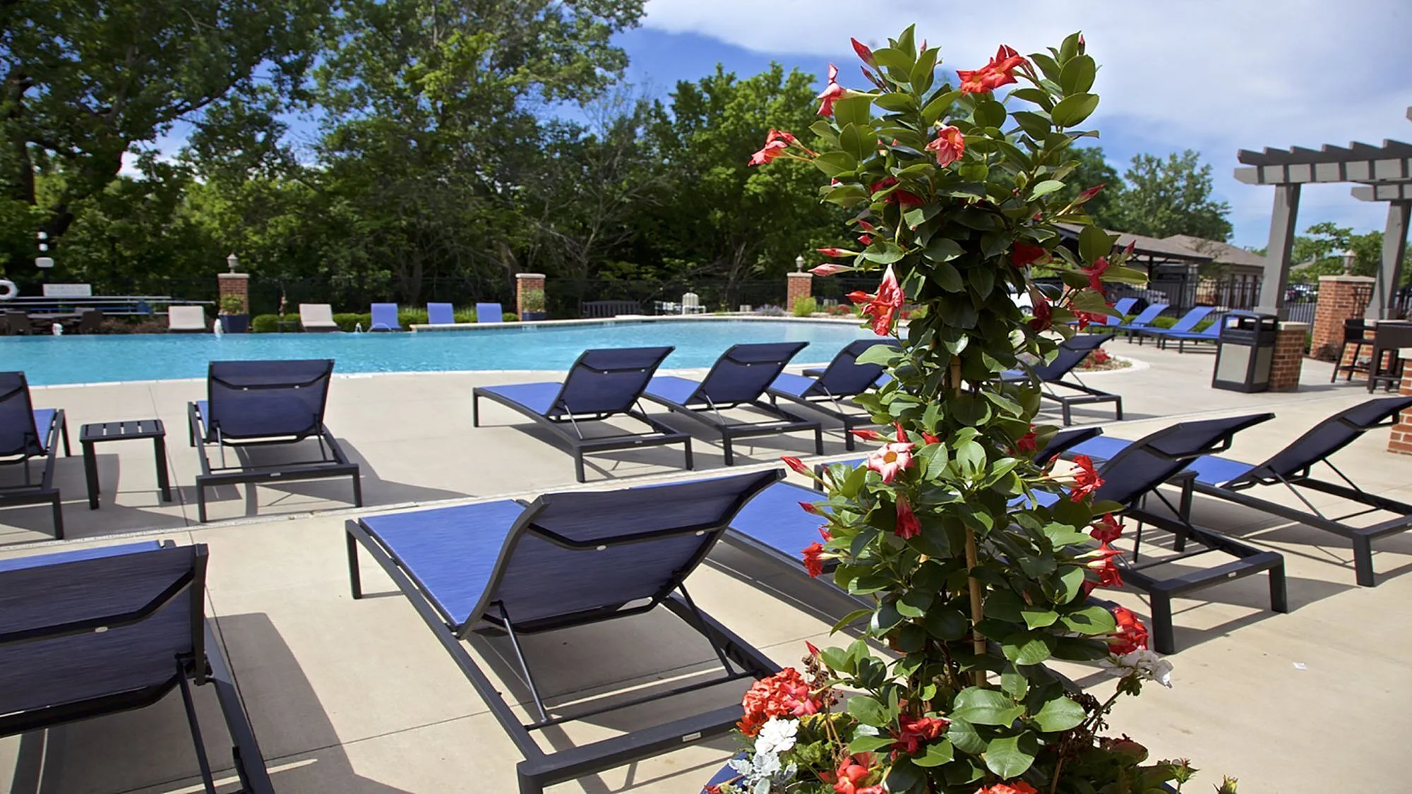 Inviting outdoor pool area featuring comfortable lounge chairs, vibrant floral accents, and lush greenery, perfect for relaxation and leisure.