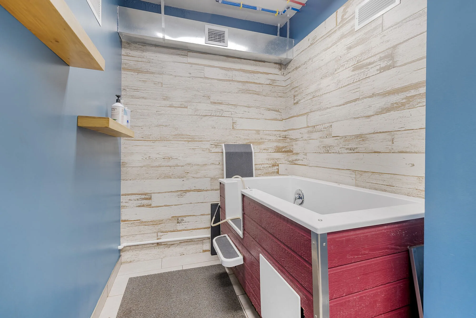 Charming bathroom featuring a modern walk-in bath with rustic wood paneling and soothing blue walls.